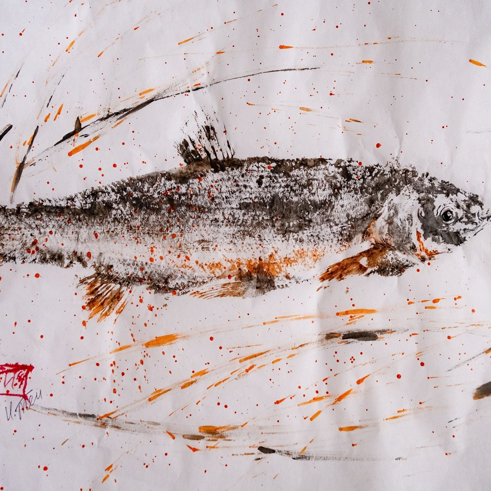 Отпечаток сахалинской краснопёрки. Тушь, бумага, 2023. (в наличии)