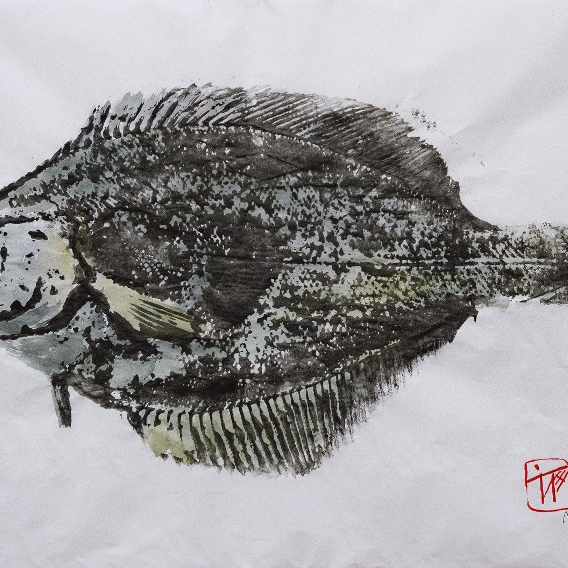 Отпечаток сахалинской камбалы. Бумага, тушь, акварель, 21х29,7, 2024. (в наличии)