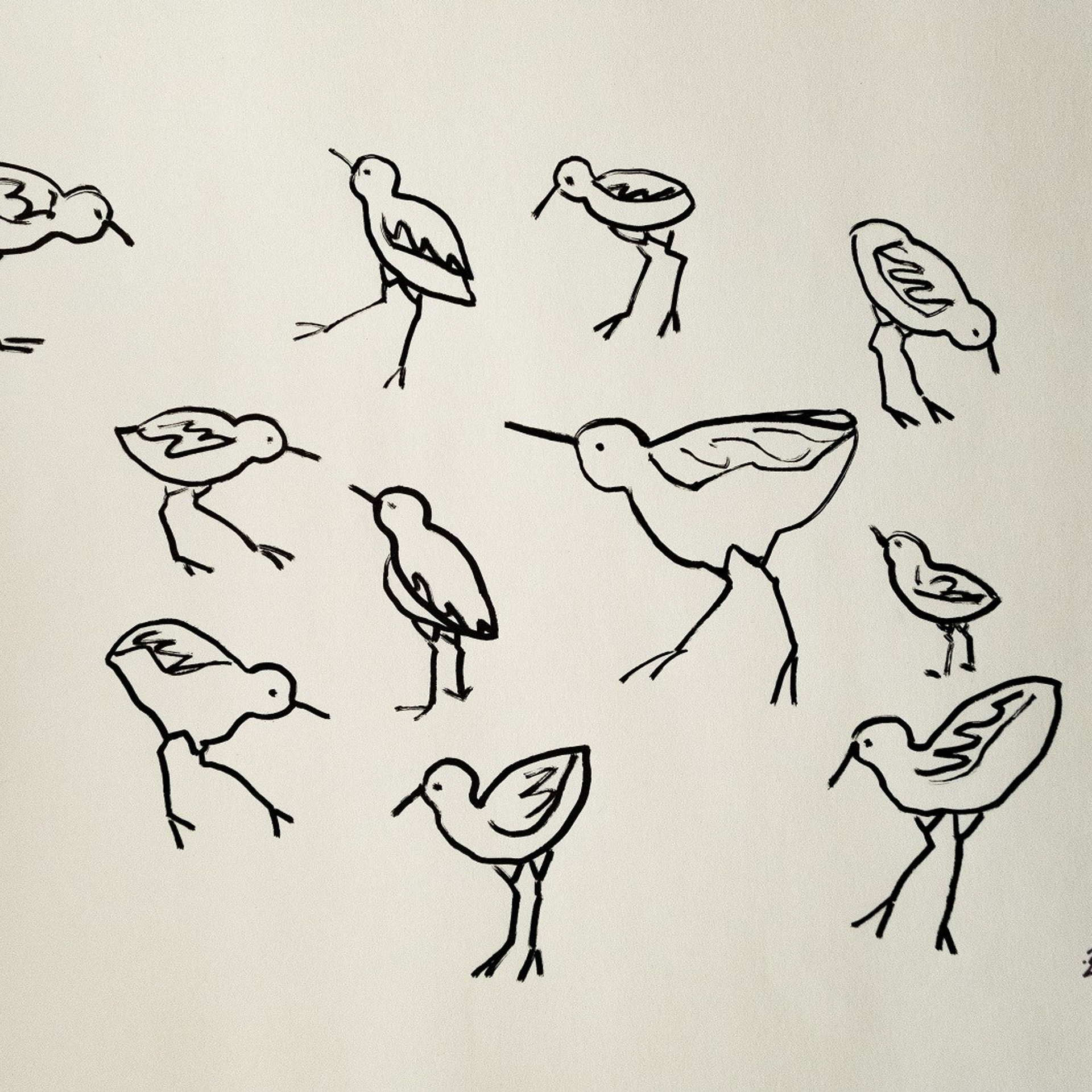 Песчанки. Бумага, маркер, 21х29,7, 2024