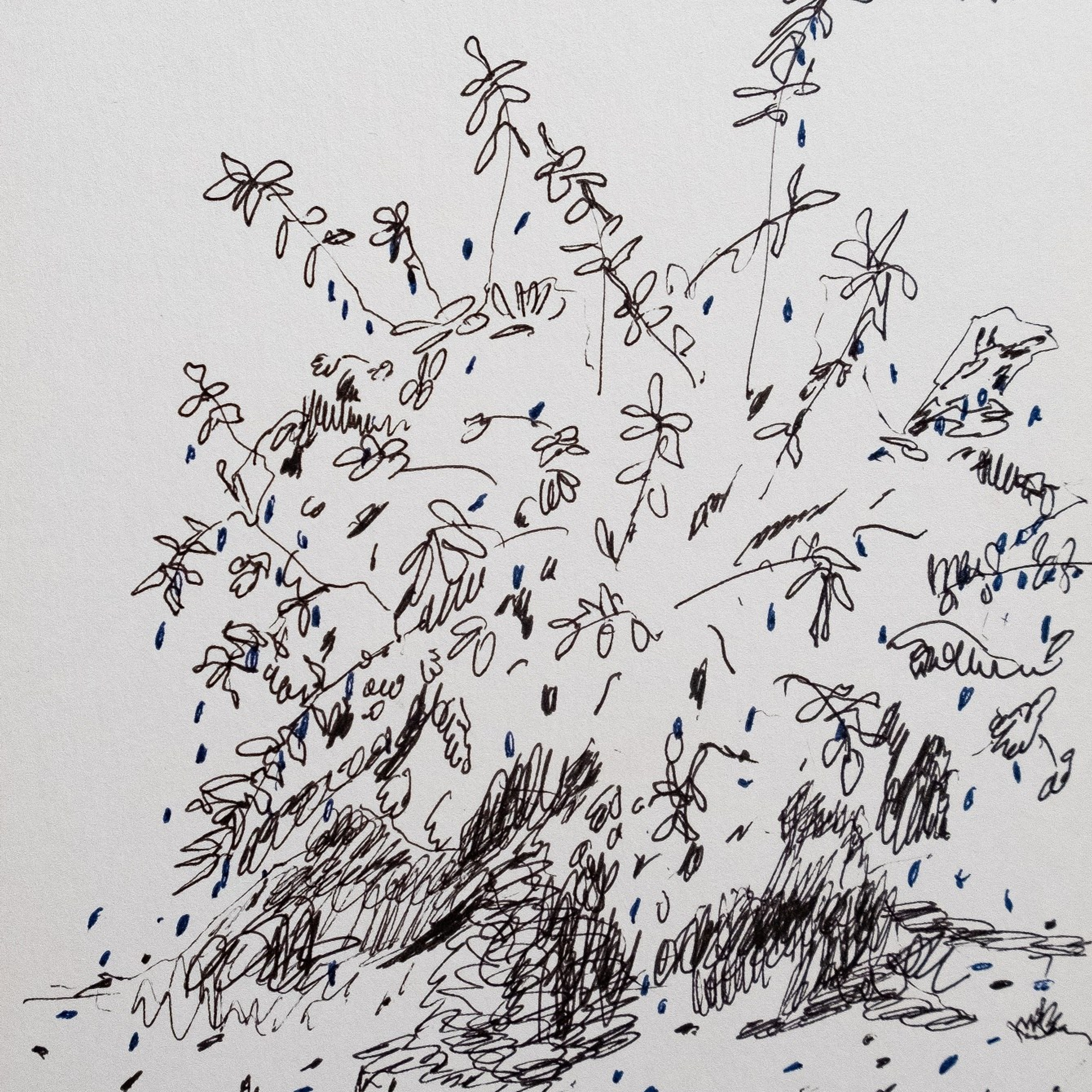 Жимолость. Бумага, гелевые ручки, 15х21, 2025. 500 рублей