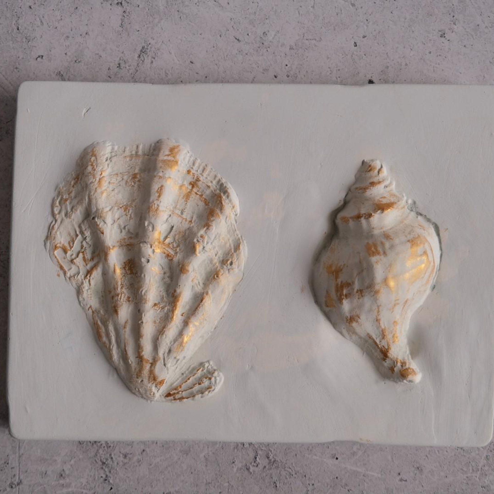 Ракушки сахалинские. (продано)