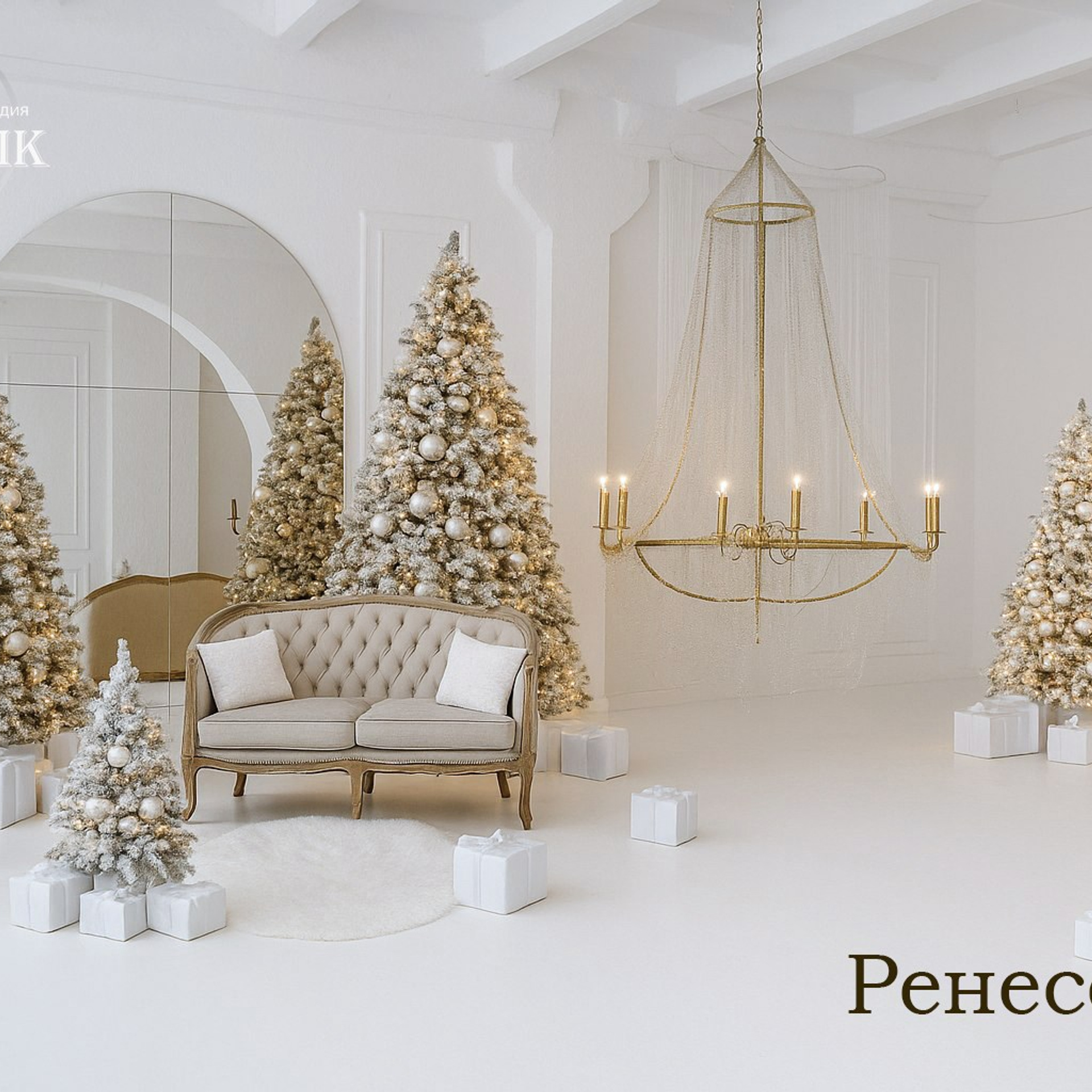 НОВЫЙ ГОД 2024/2025. Семейный и детский фотограф в Хабаровске Савишина Светлана