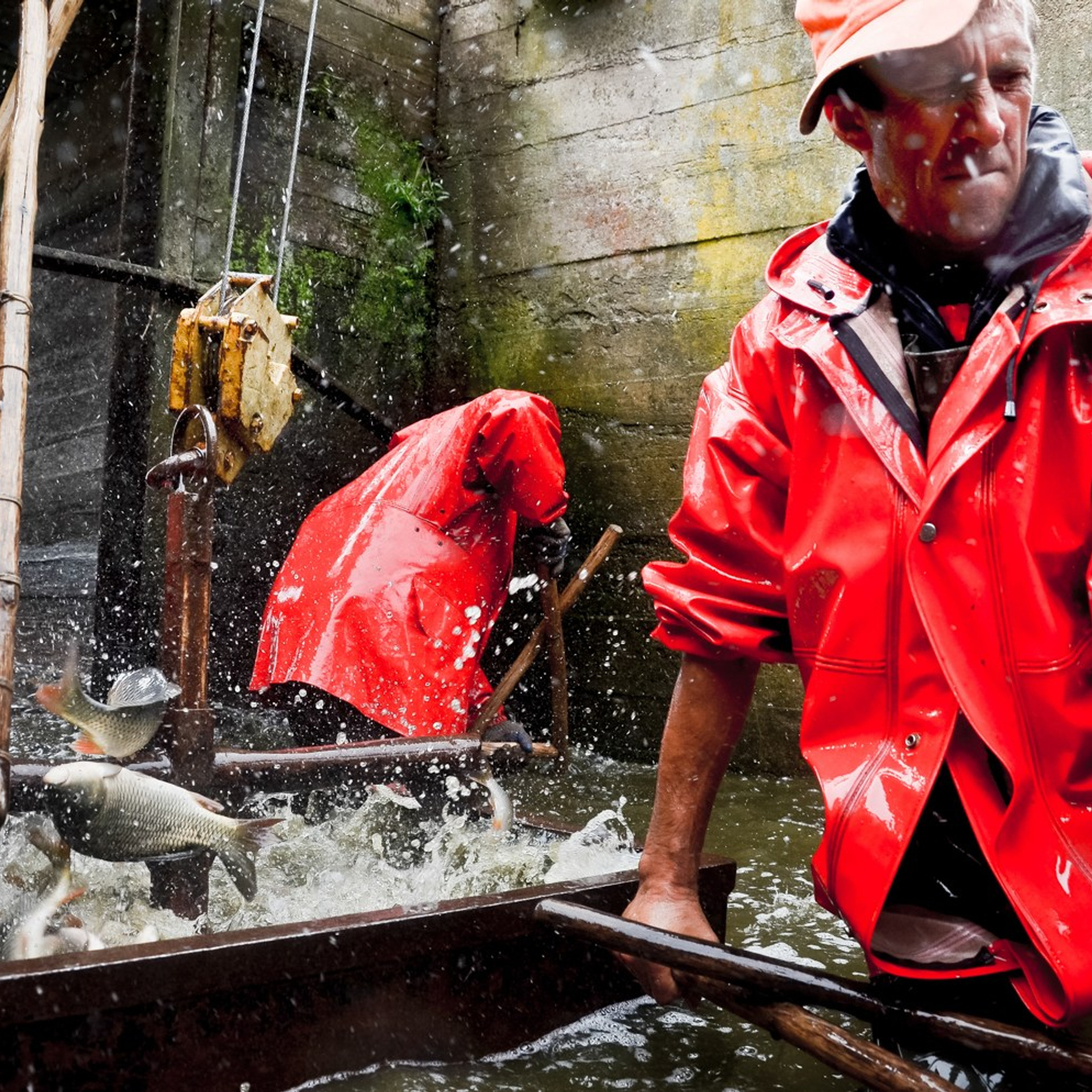 ПОРТФОЛИО/Журналистика