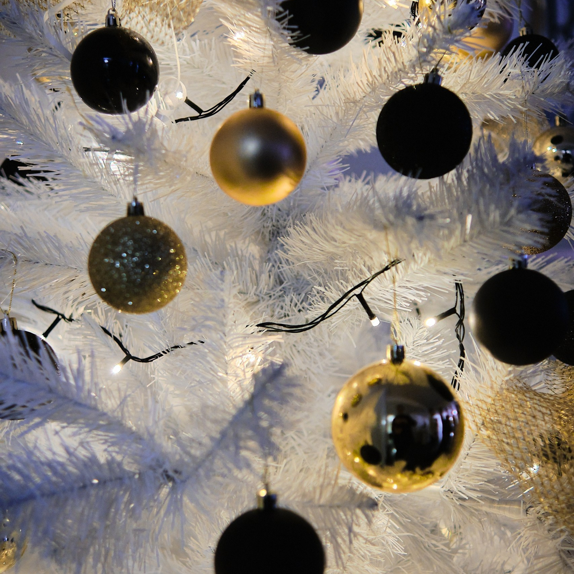 Отзывы. Матвей Яворский — фотограф в Челябинске