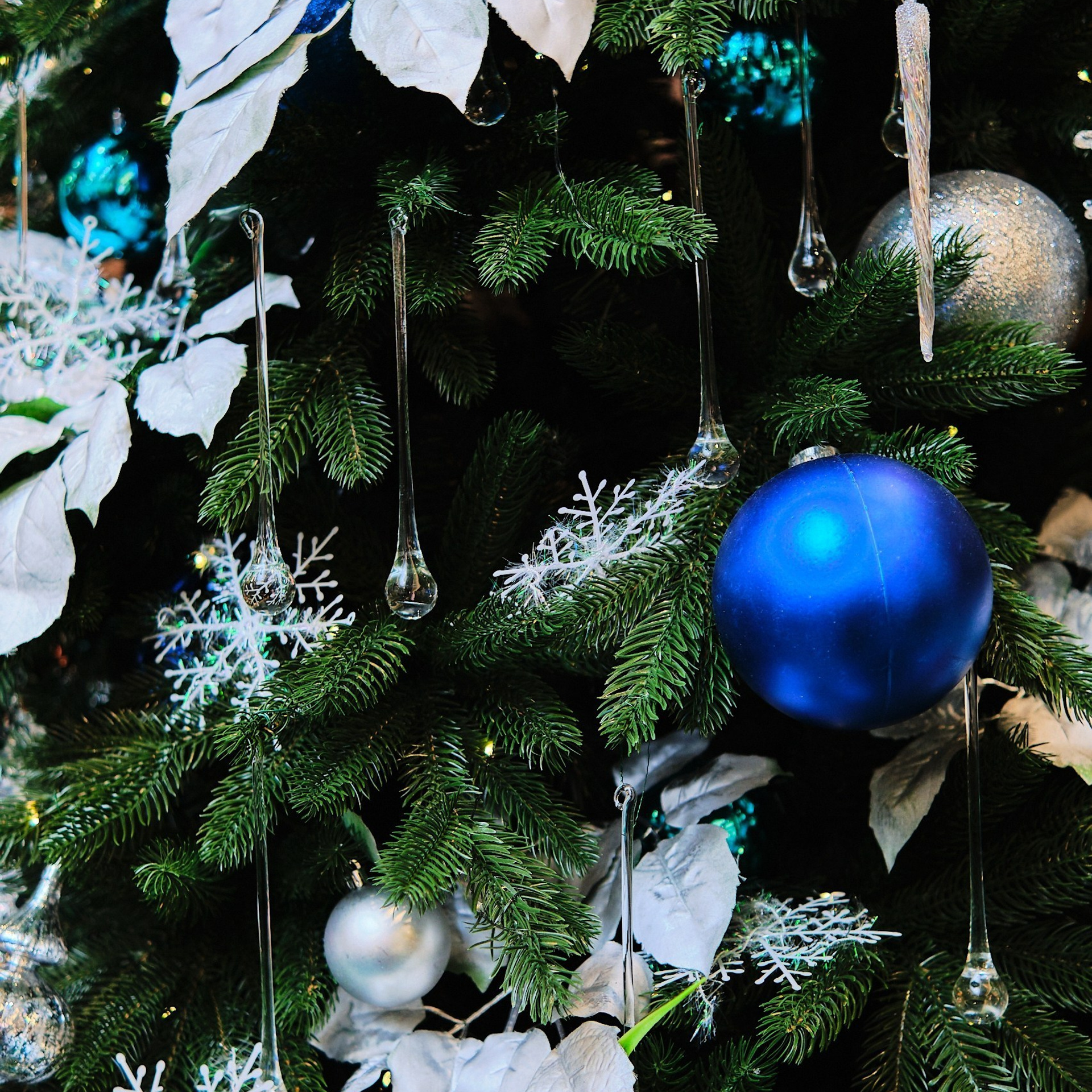 Отзывы. Матвей Яворский — фотограф в Челябинске