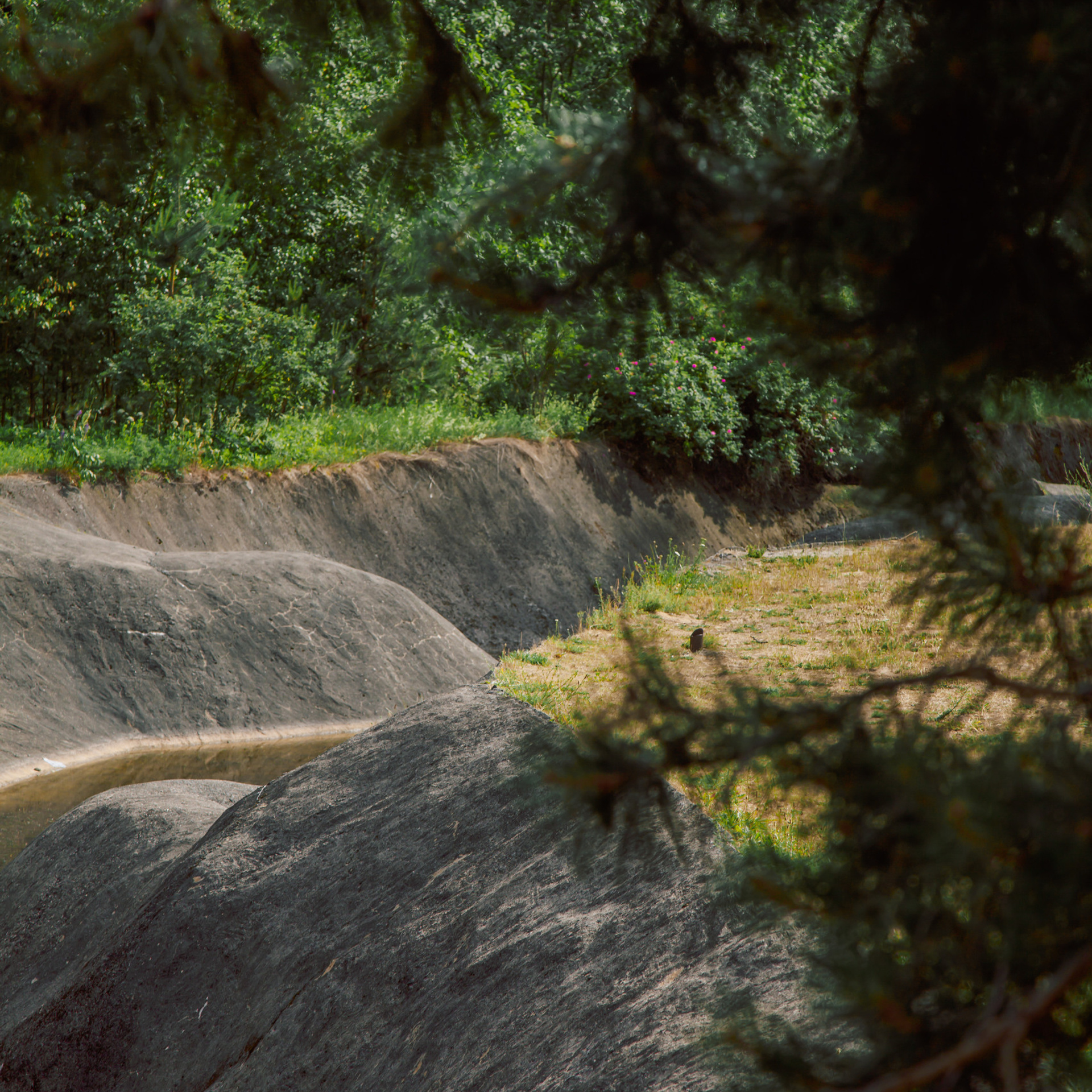 Отзывы. Свадебный и семейный фотограф в Минске Духович Татьяна