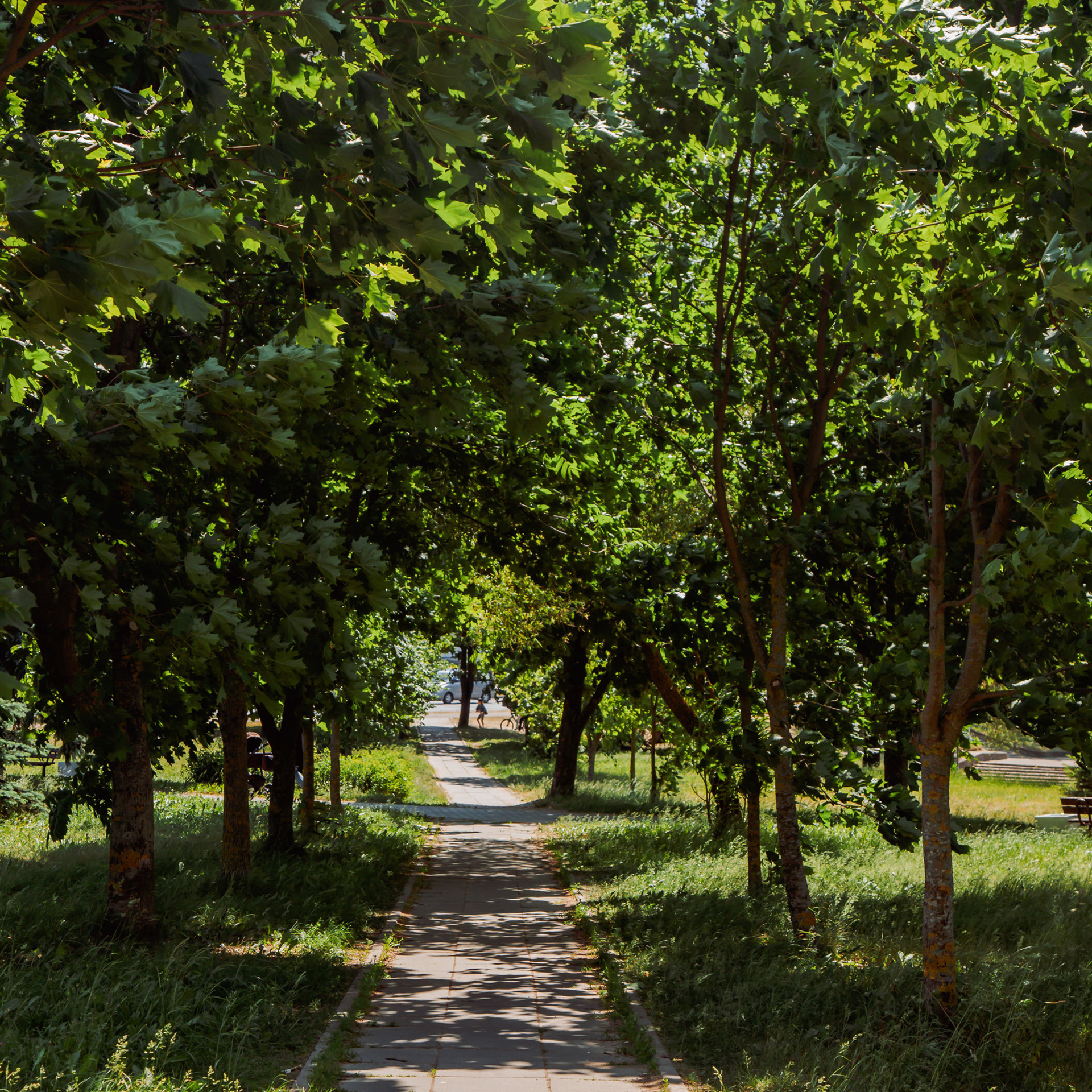 Отзывы. Свадебный и семейный фотограф в Минске Духович Татьяна