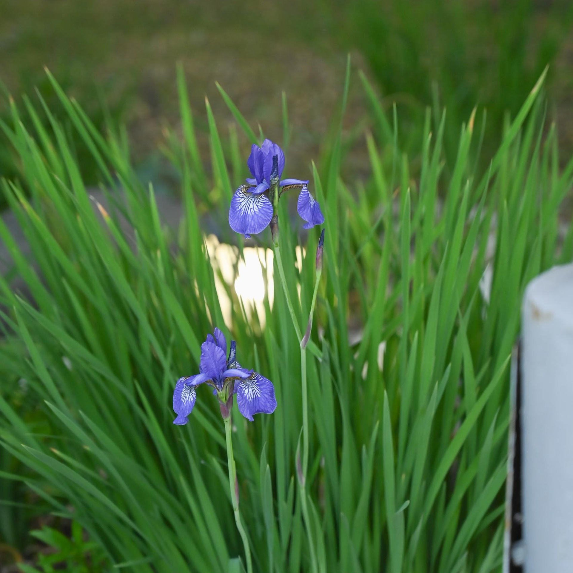 Отзывы. Семейный и женский фотограф в Челябинске Замятина Ольга