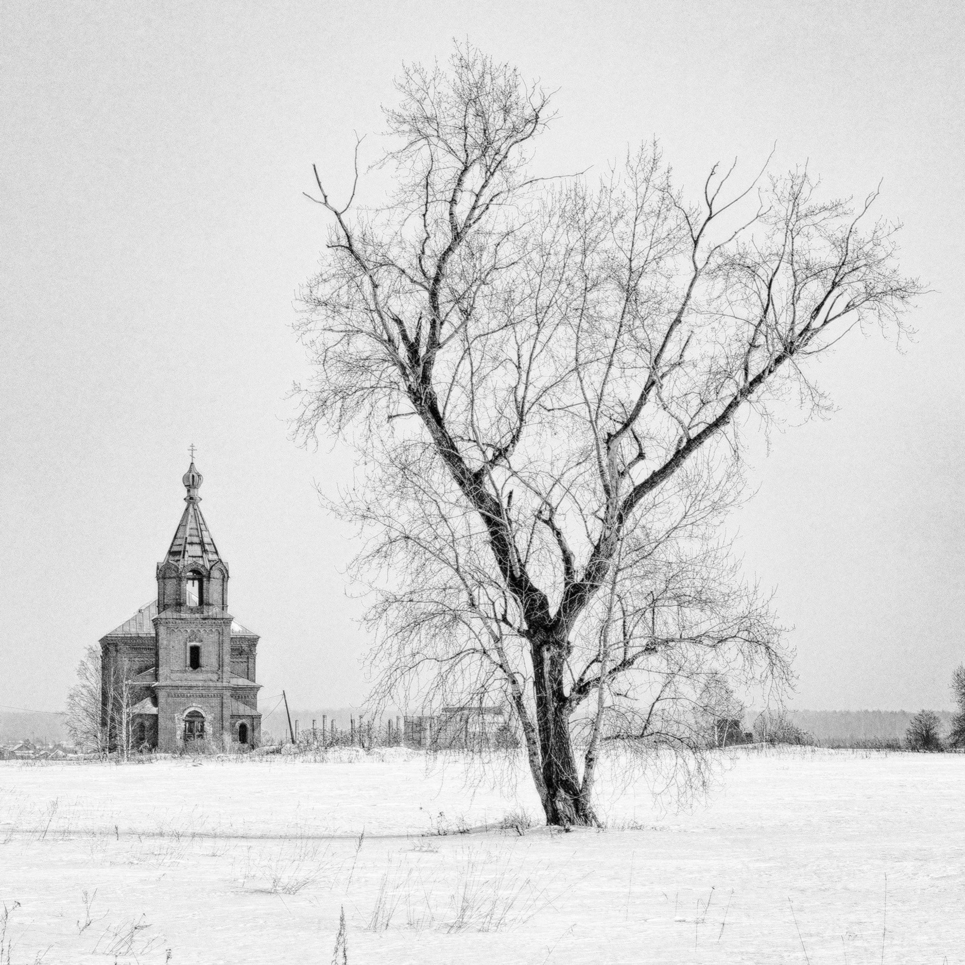 Фотоконкурсы. Студия фотографии «Антония Белобородова»