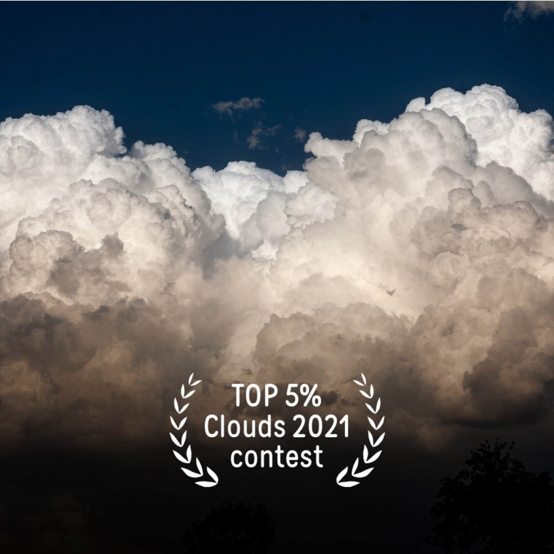 Фотоконкурсы. Студия фотографии «Антония Белобородова»