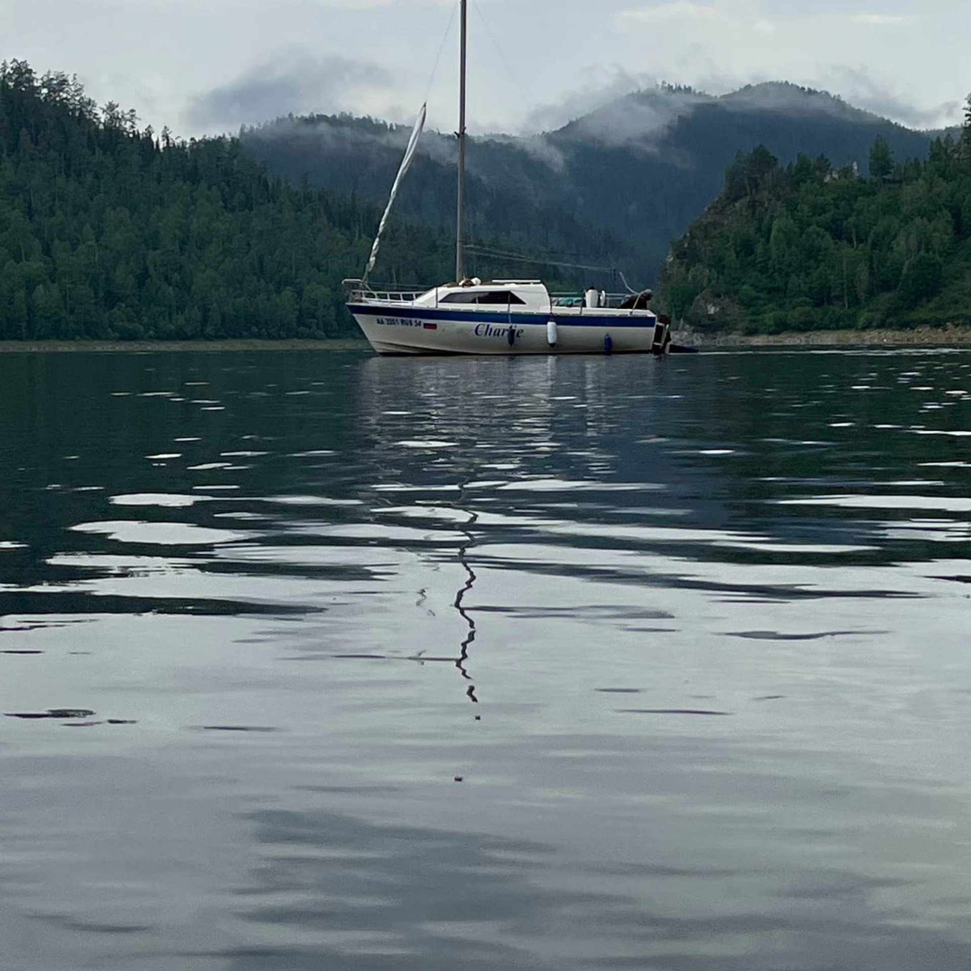 Чарли. RestPlace — парусные, премиум яхты, катера — аренда Красноярск