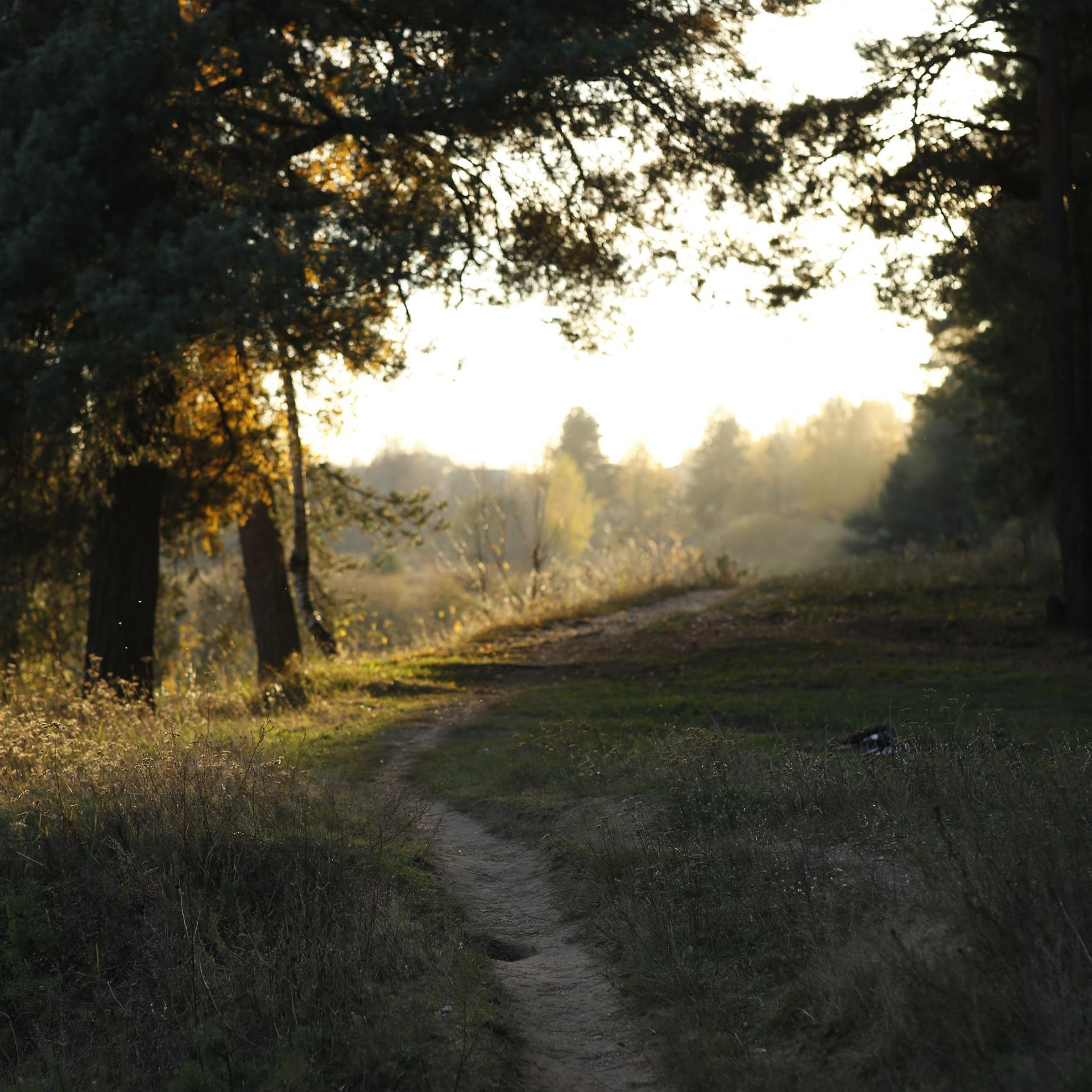 Отзывы. Фотограф в Твери Helga J. Fox