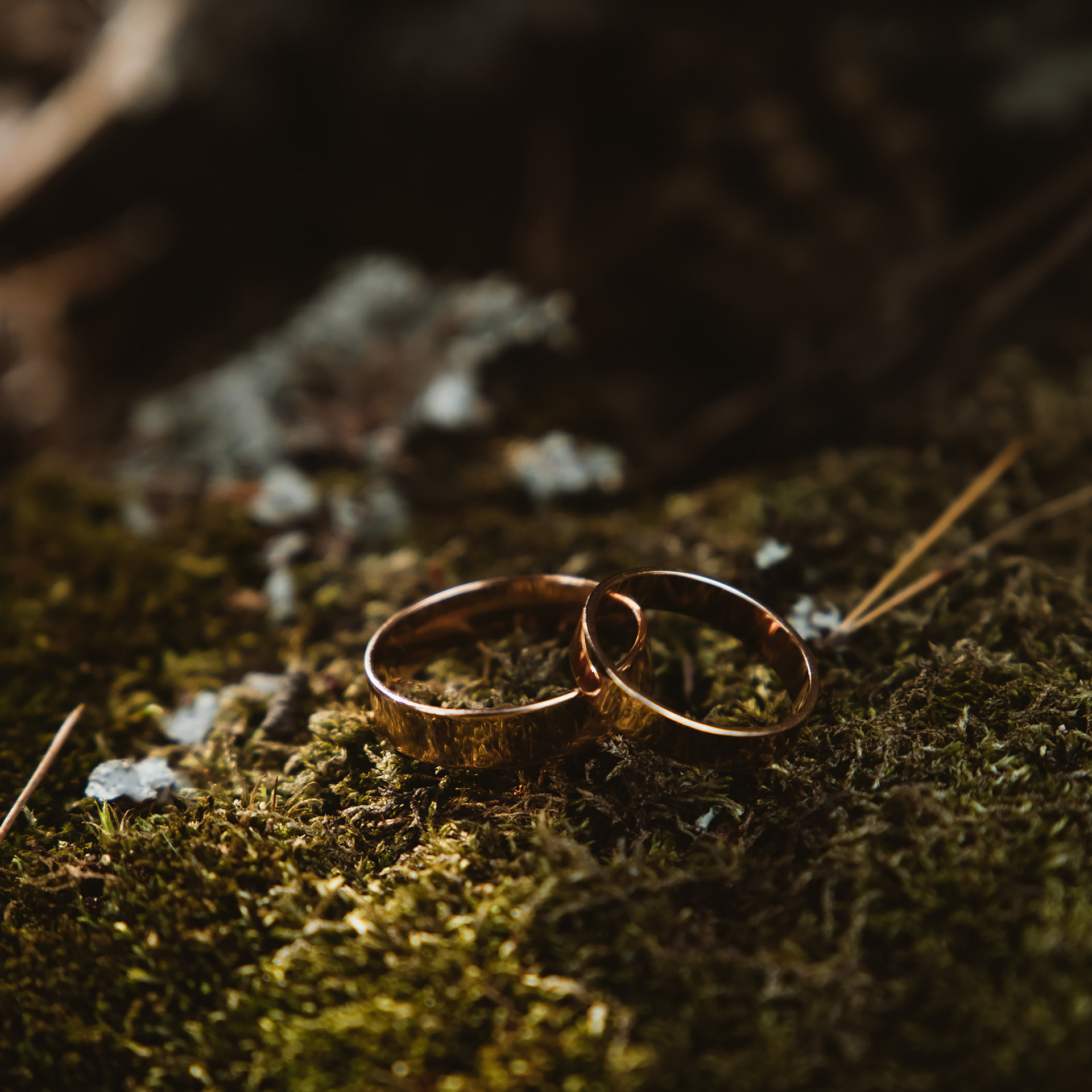 Отзывы. Свадебный Фотограф Чебоксары|Йошкар-Ола|Москва|Краснодар