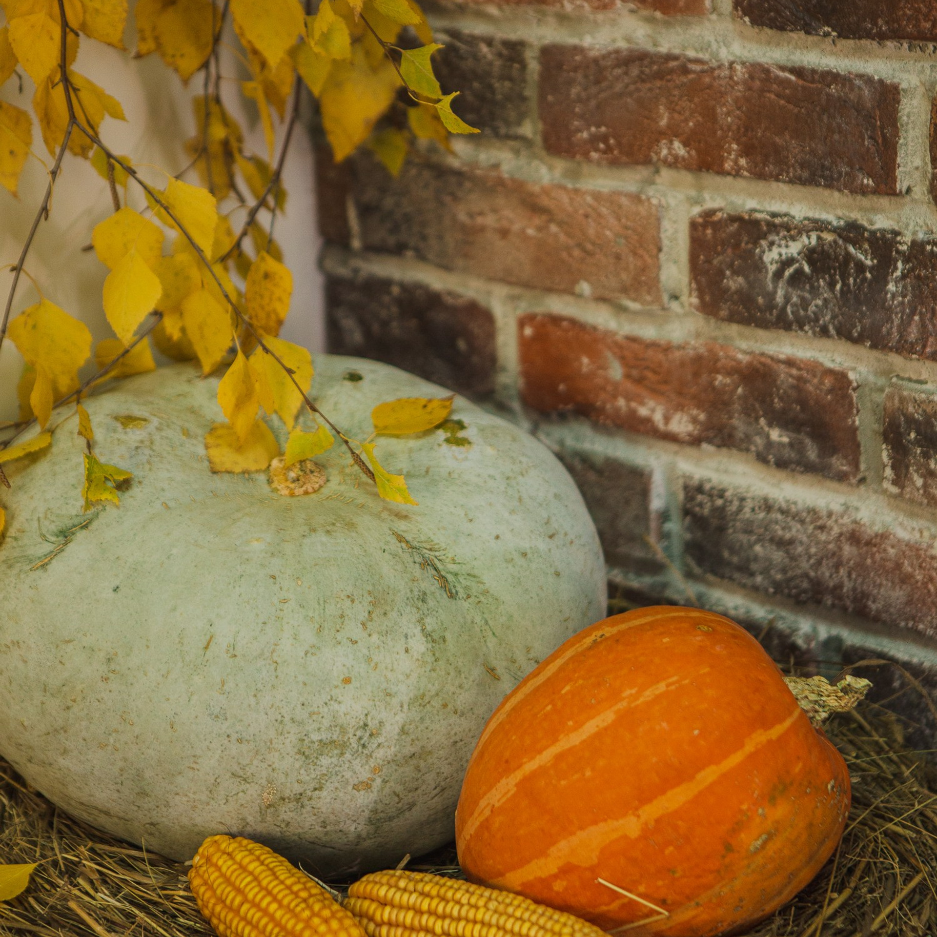 Каминный зал