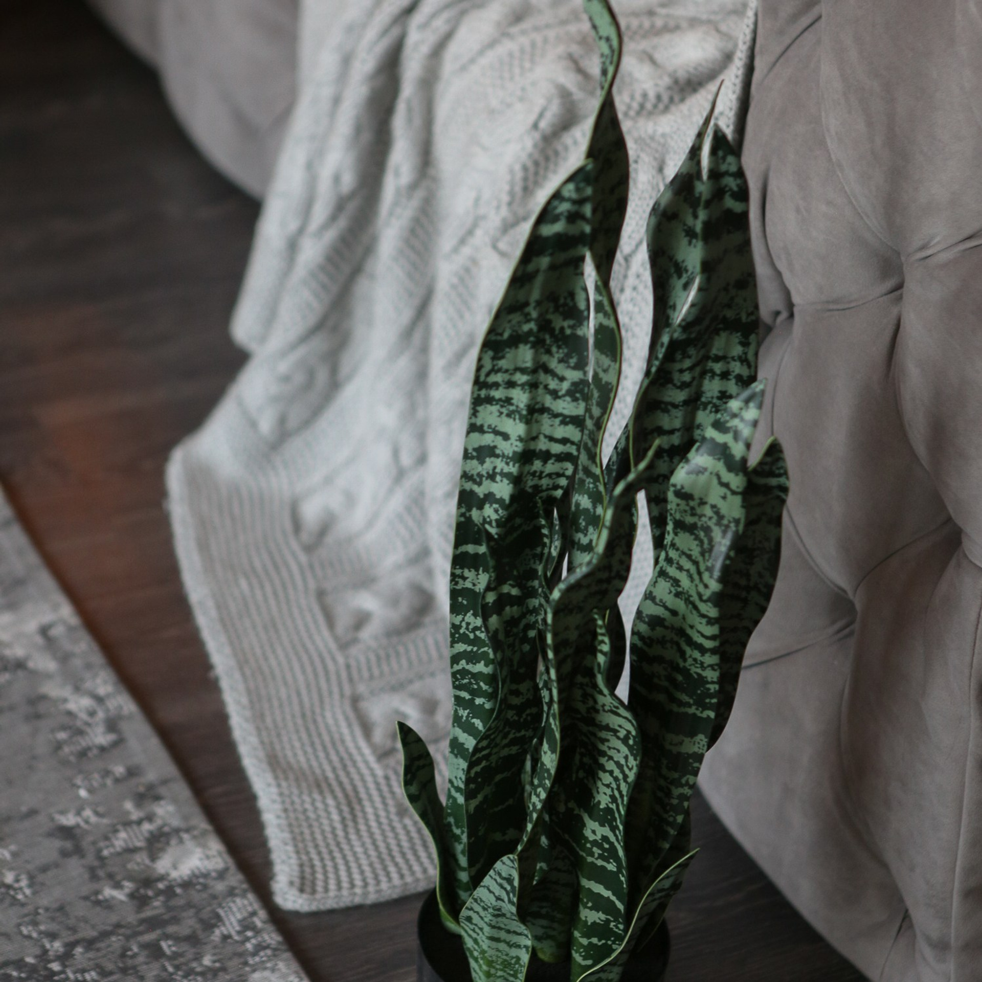 Каминный зал