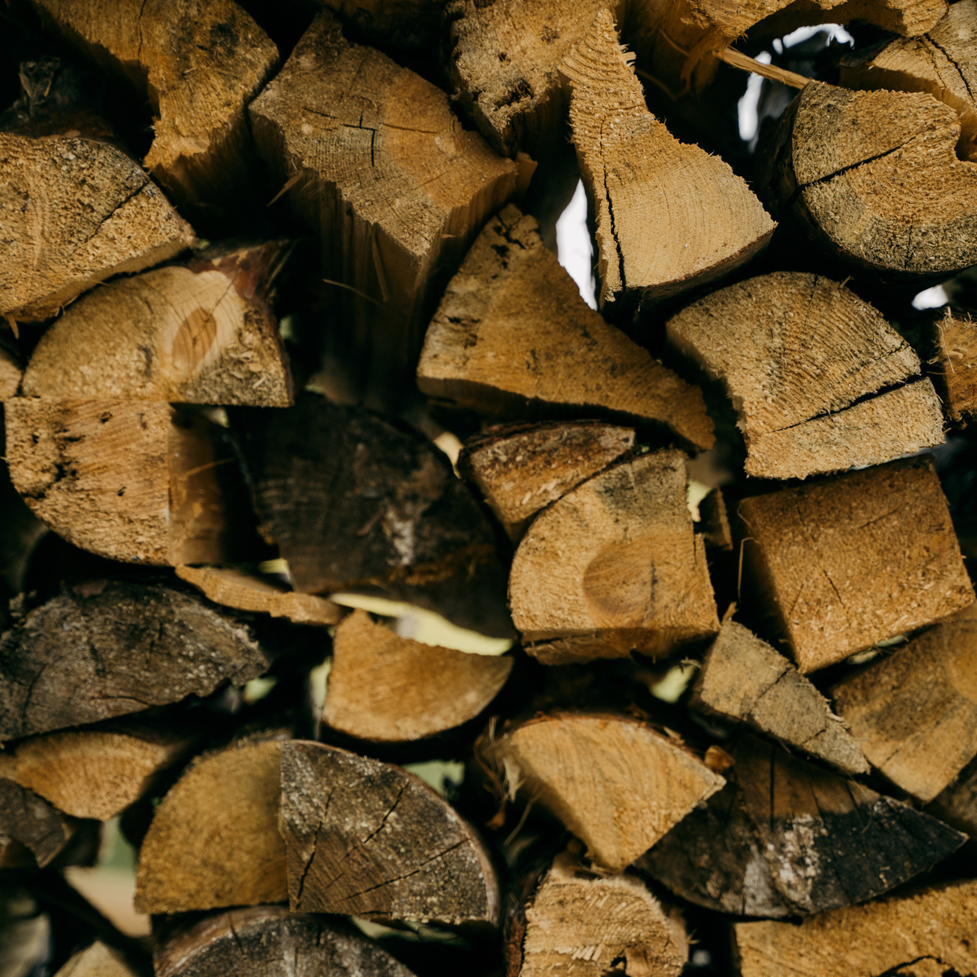 Отзывы. Свадебный Фотограф Челябинск