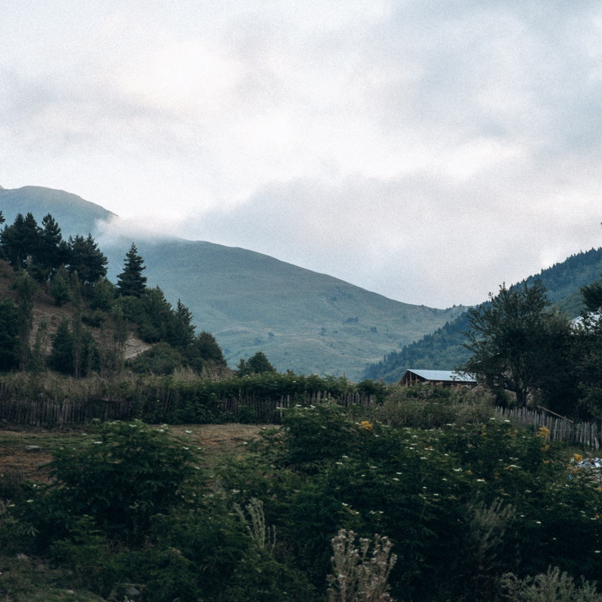 Сванетия, Грузия 🇬🇪. Anita_photo