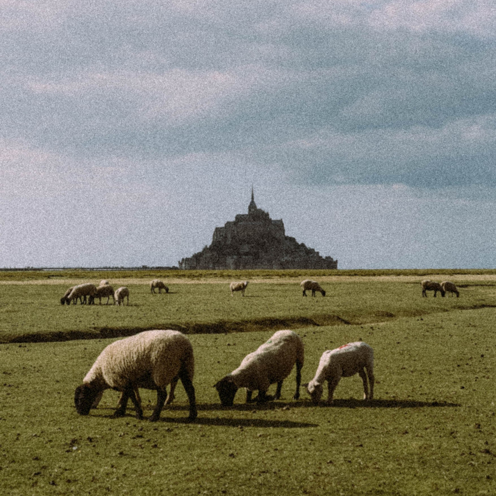 Нормандия, Франция 2025. Anita_photo