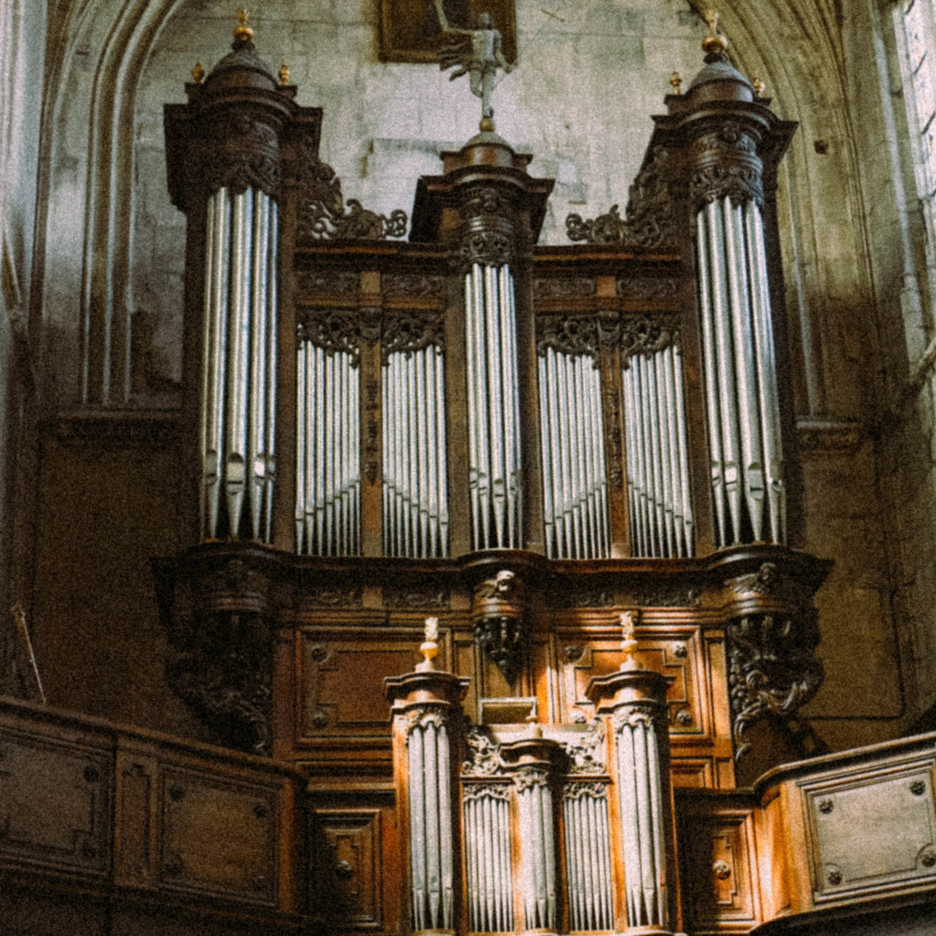 Нормандия, Франция 2025. Anita_photo