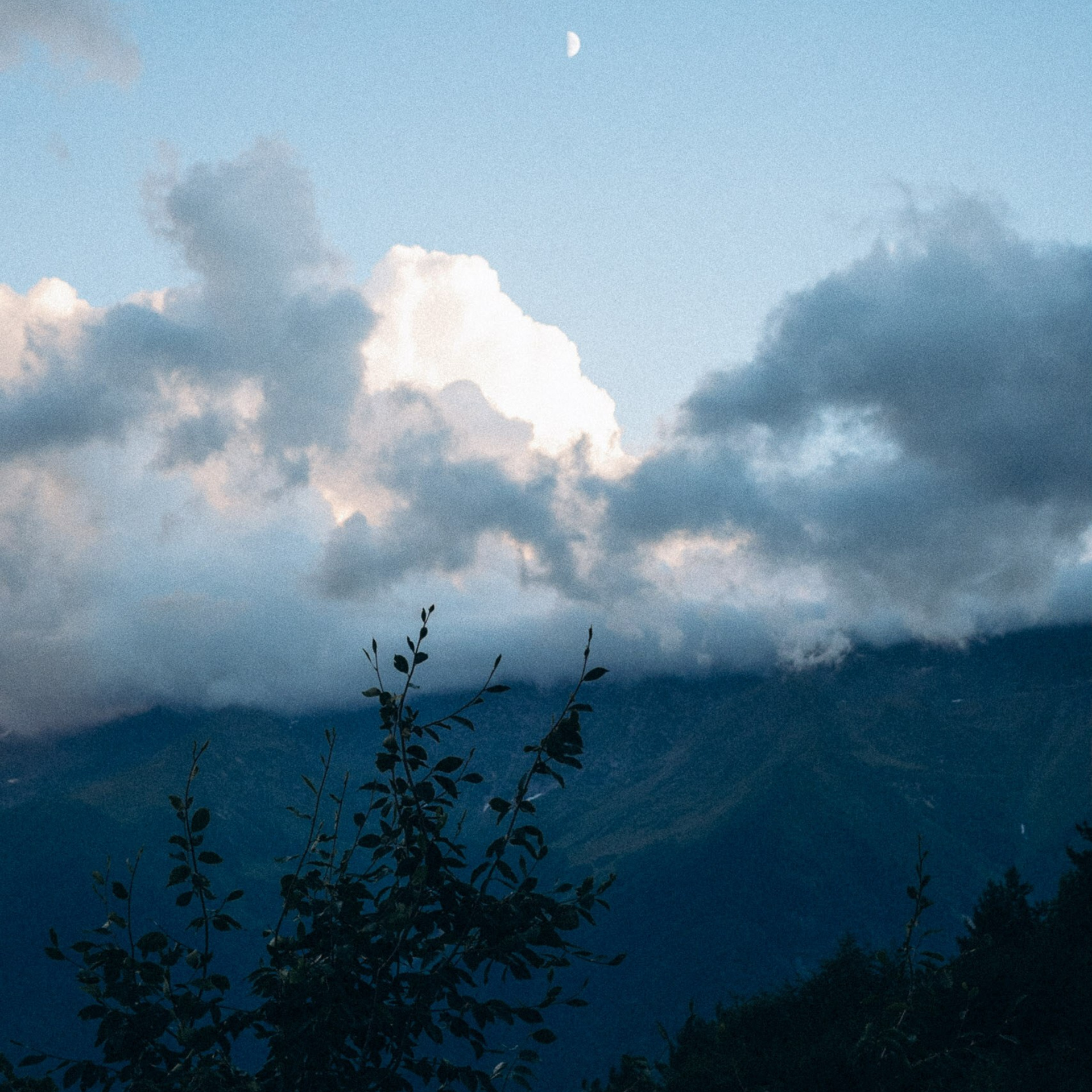 Сванетия, Грузия 🇬🇪. Anita_photo