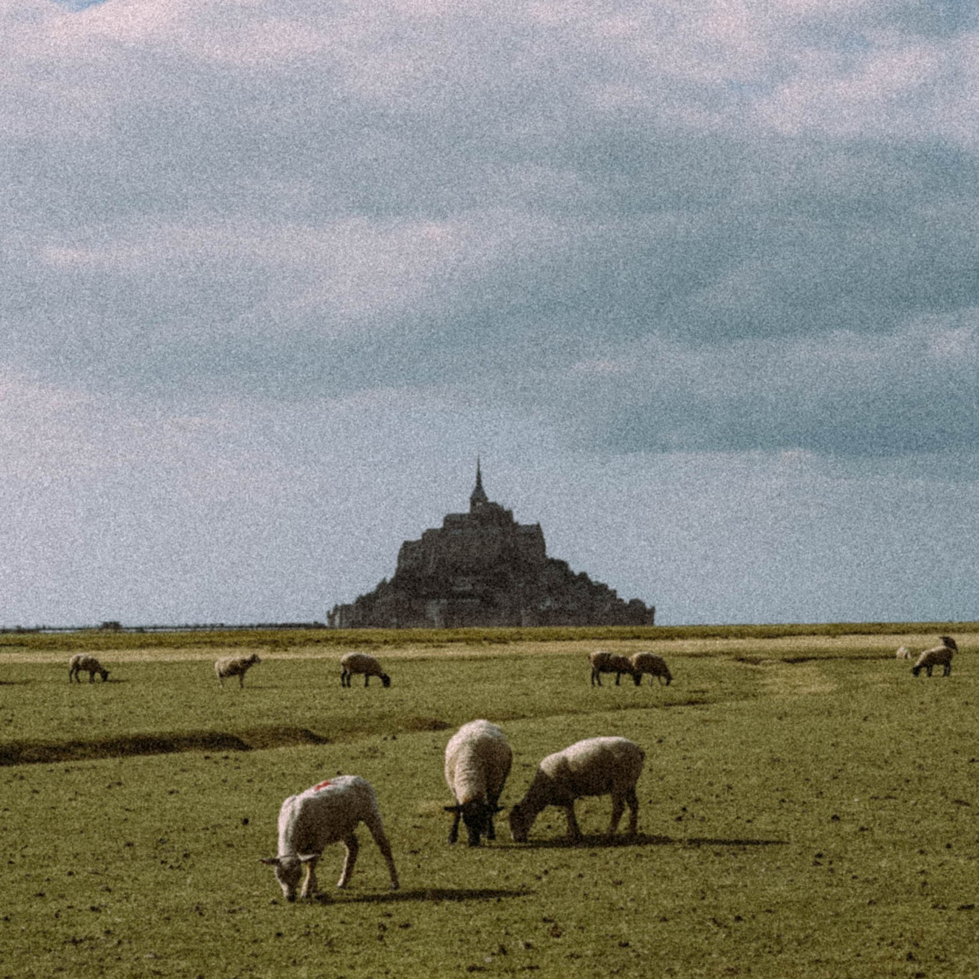 Нормандия, Франция 2025. Anita_photo