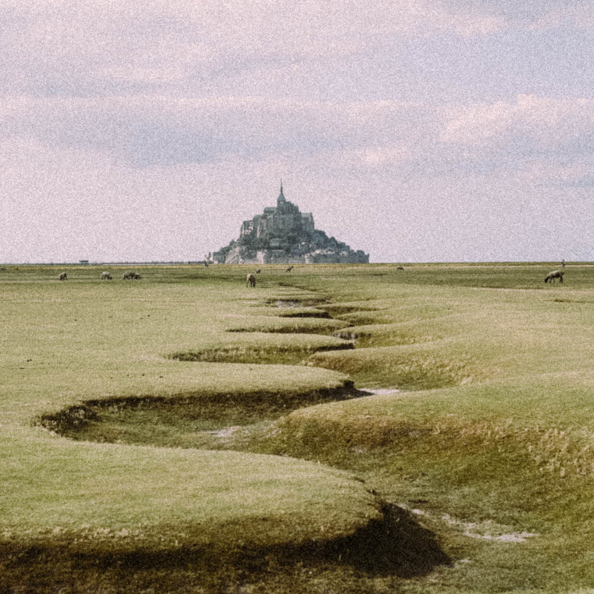 Нормандия, Франция 2025. Anita_photo