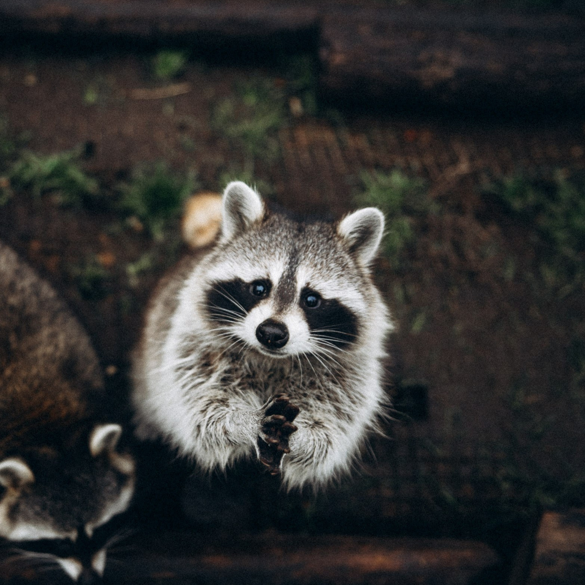 Блог фотографа Кос. Anita_photo