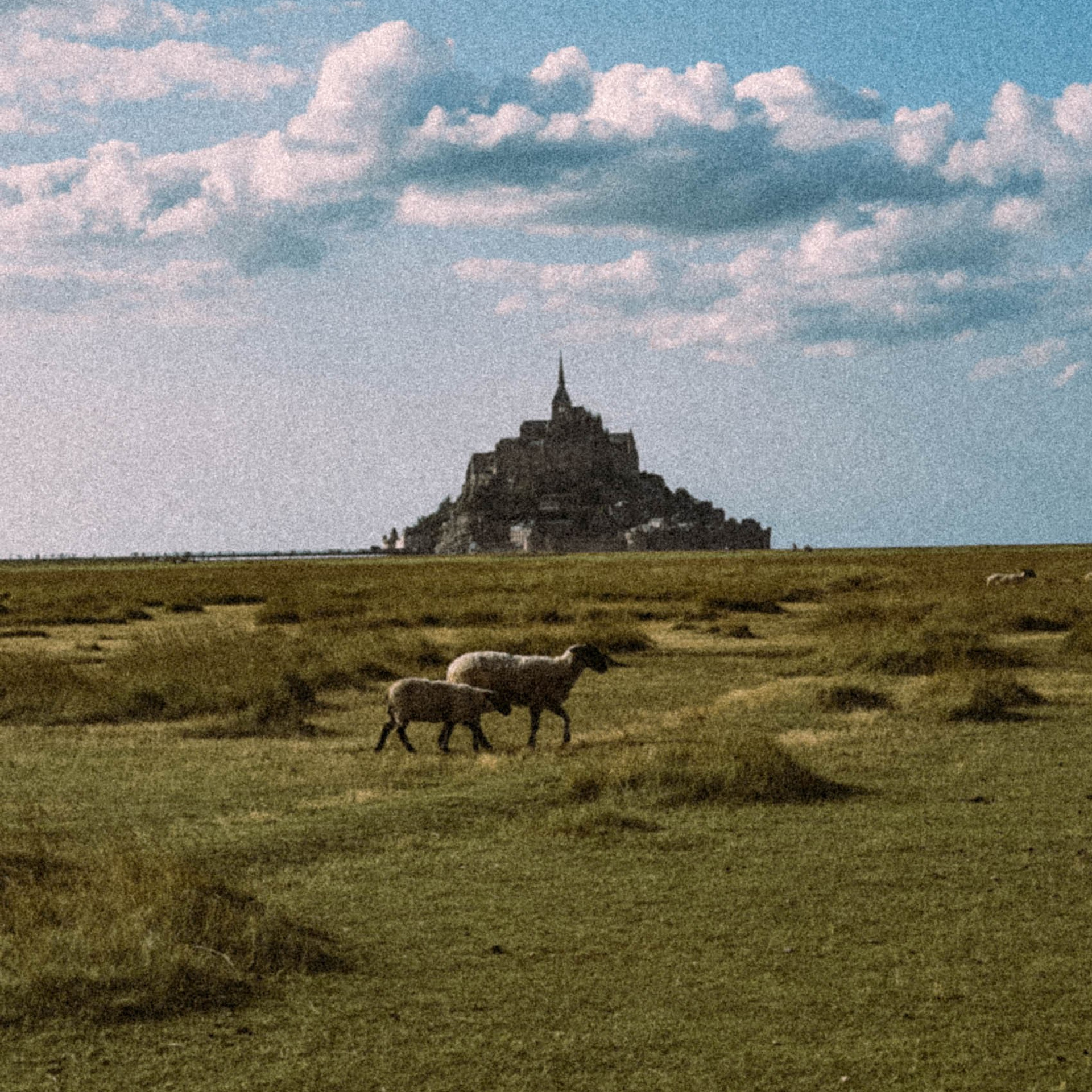 Нормандия, Франция 2025. Anita_photo