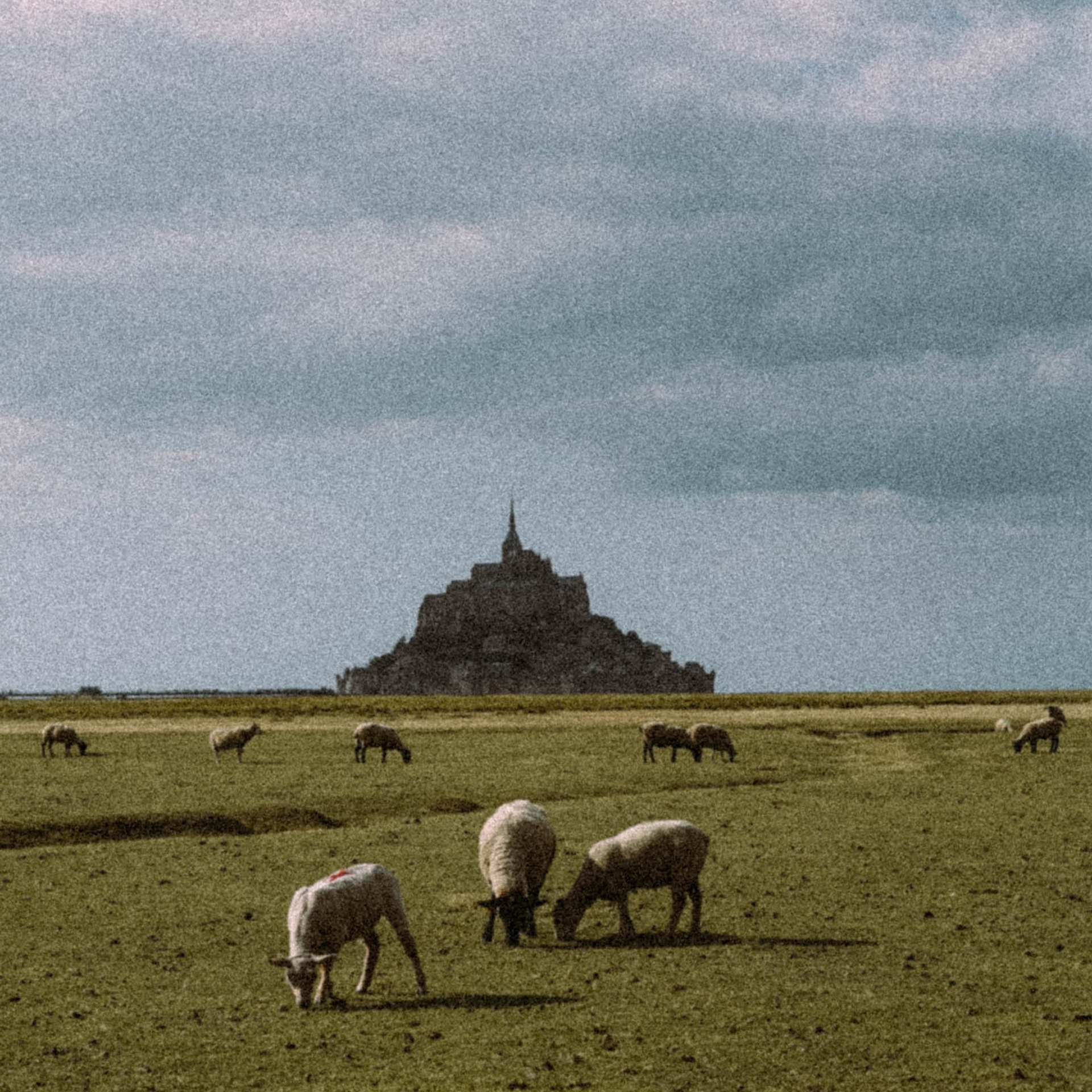 Нормандия, Франция 2025. Anita_photo