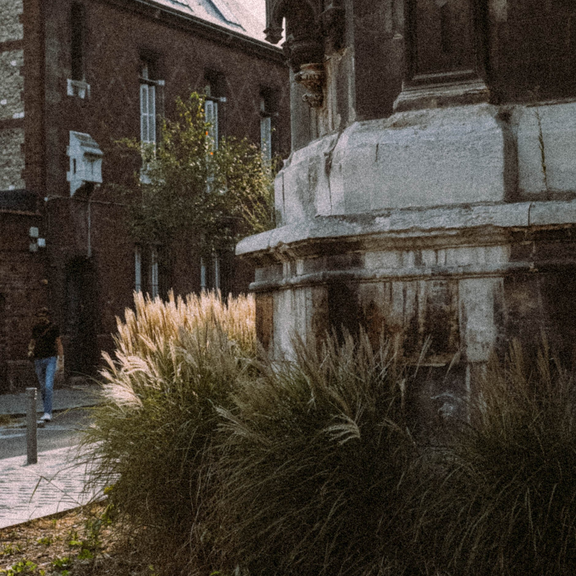 Нормандия, Франция 2025. Anita_photo