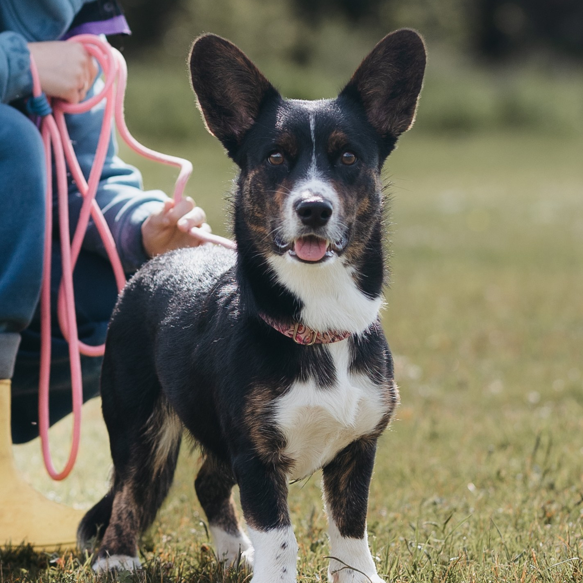 Лагерь ноузворк