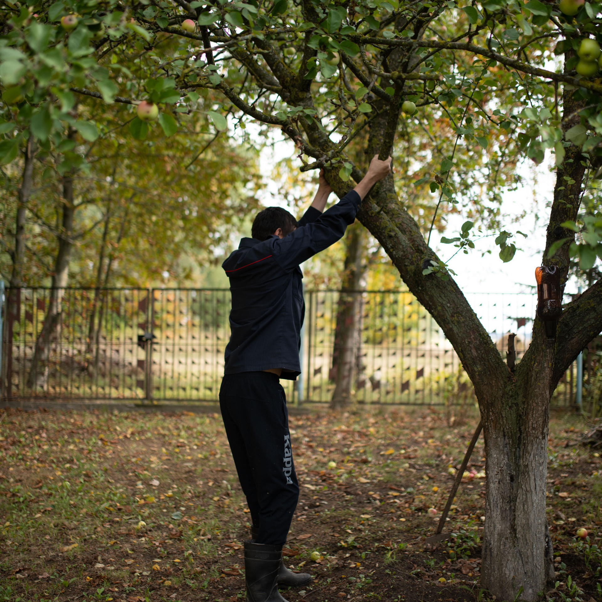Отзывы. Главная