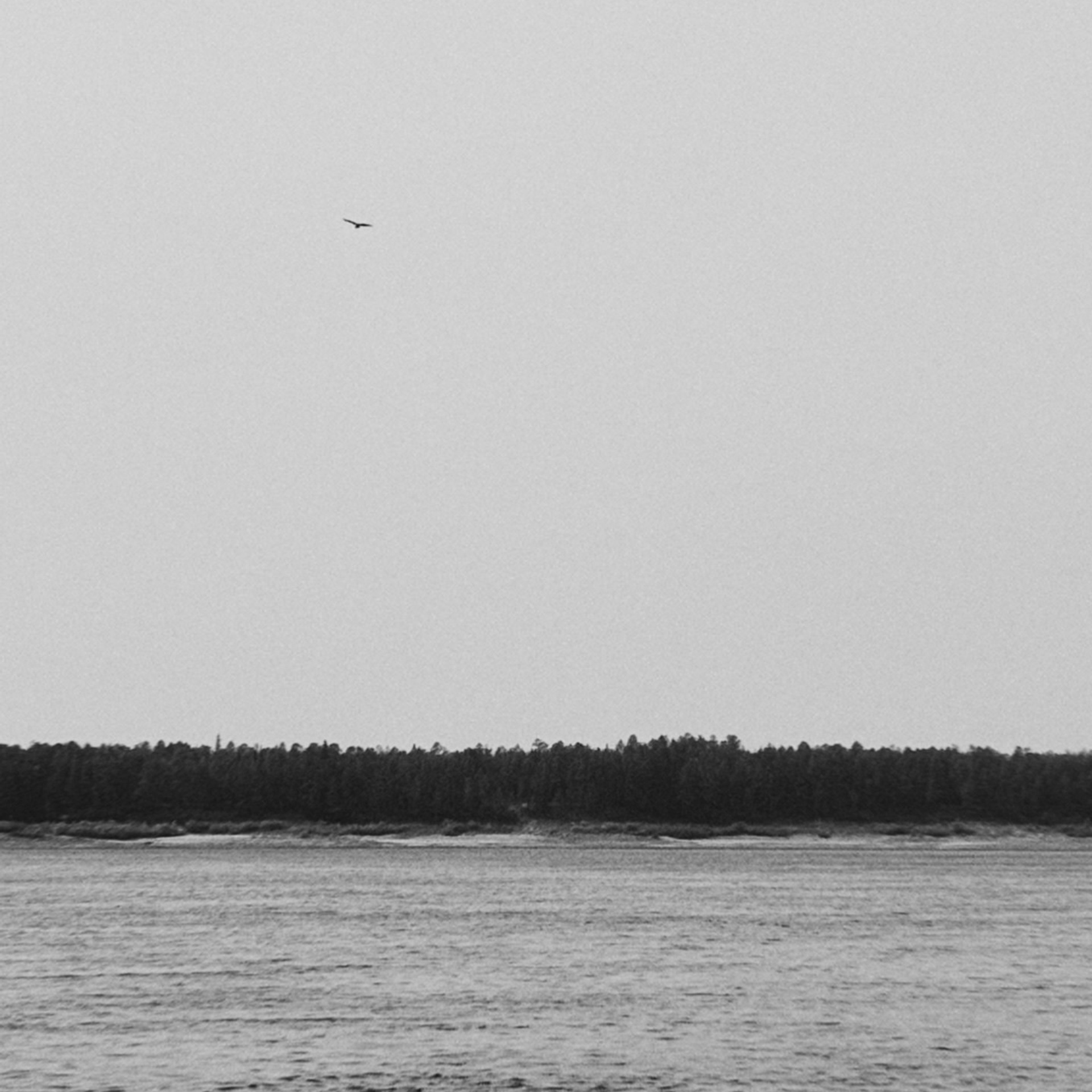 На телефон. Главная