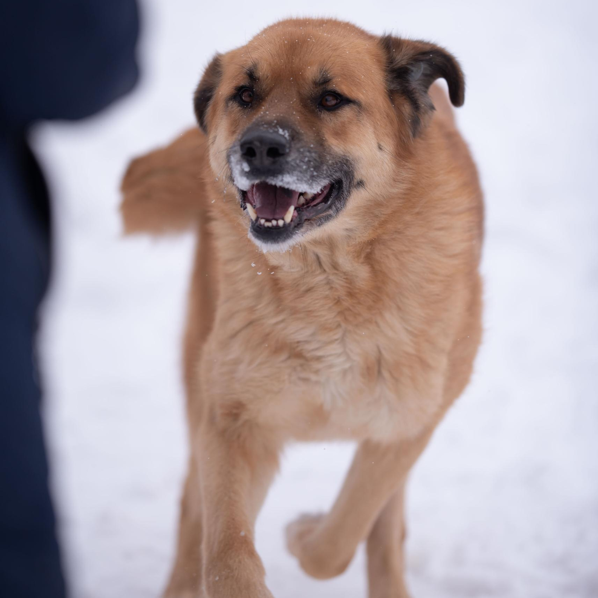 Отзывы. Семейный и детский фотограф в Москве и Туле