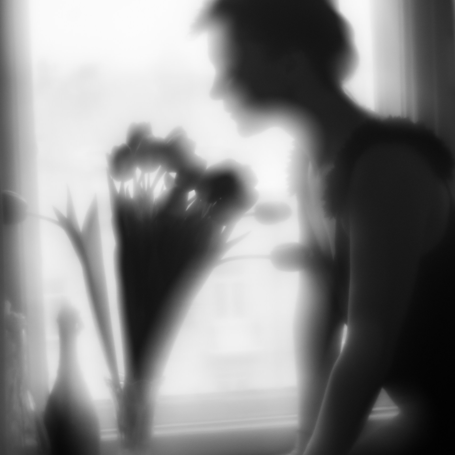 О самой красивой