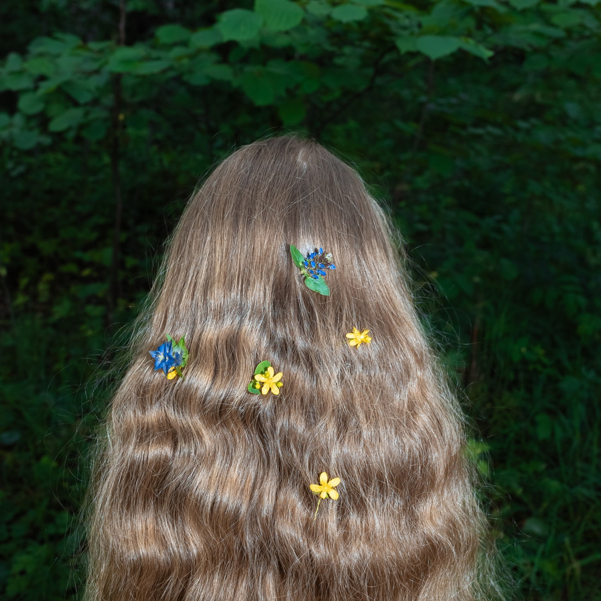 Нестандартные истории и плёнка