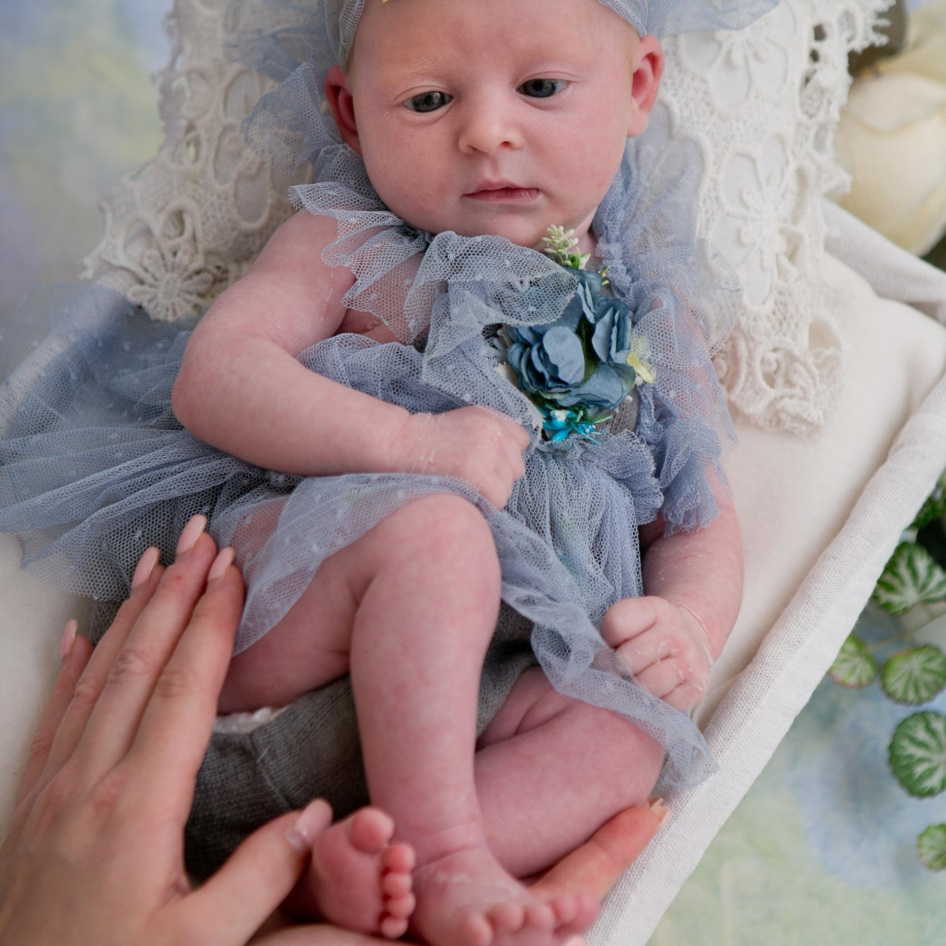 Отзывы. Семейный, детский, newborn фотограф Москва,Московская обл Алла Риэр