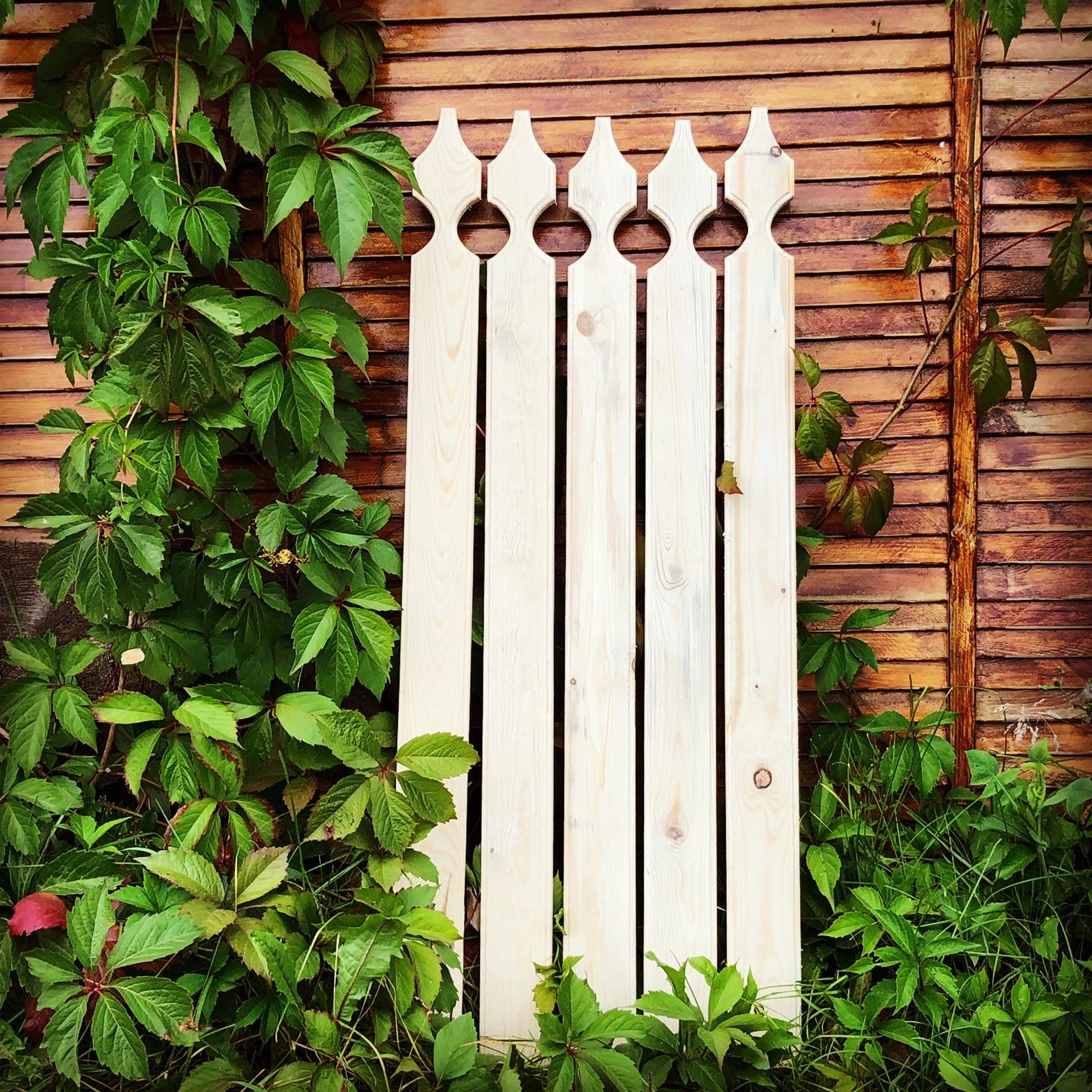 Деревянный штакетник. Главная