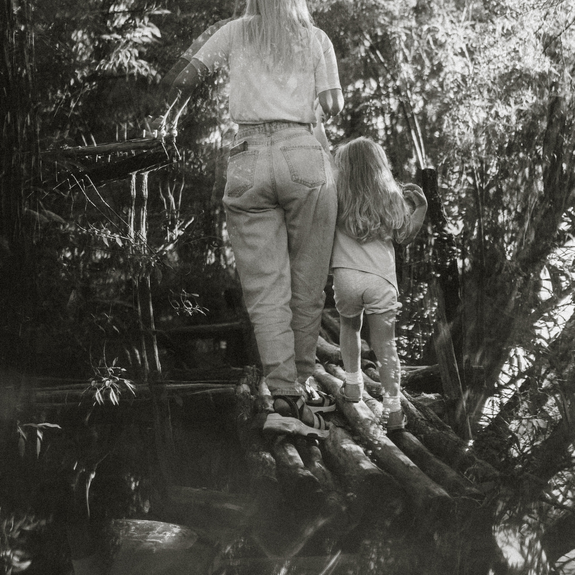 Фотодень 28 августа. Семейный Фотограф Новосибирск, Школьные фотосессии Новосибирск, школьный фотограф Новосибирск, выпускные альбомы