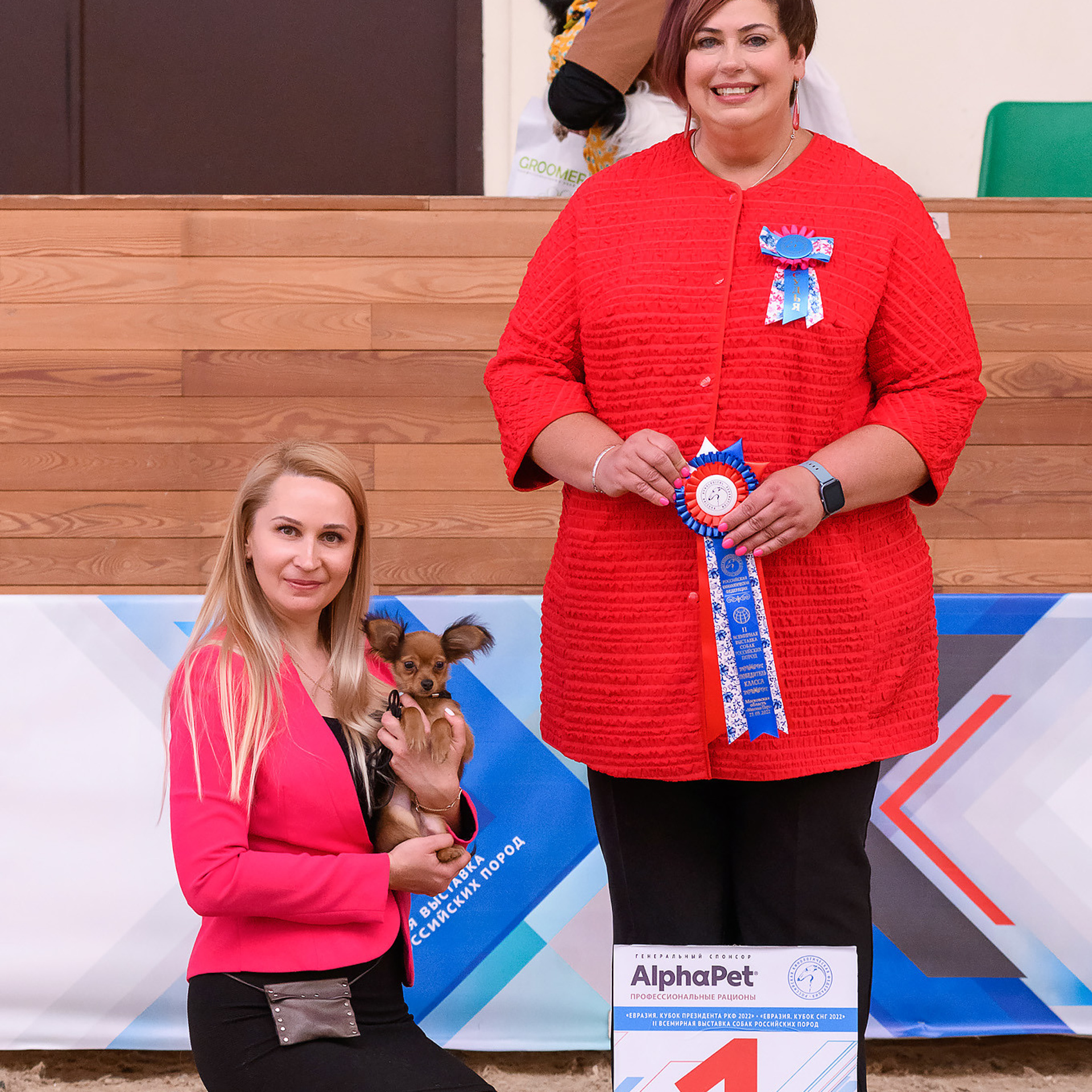 Репортажная съемка на выставке собак. Семьи, дети, сады, школы. Фотограф Первенцева Елена. Москва