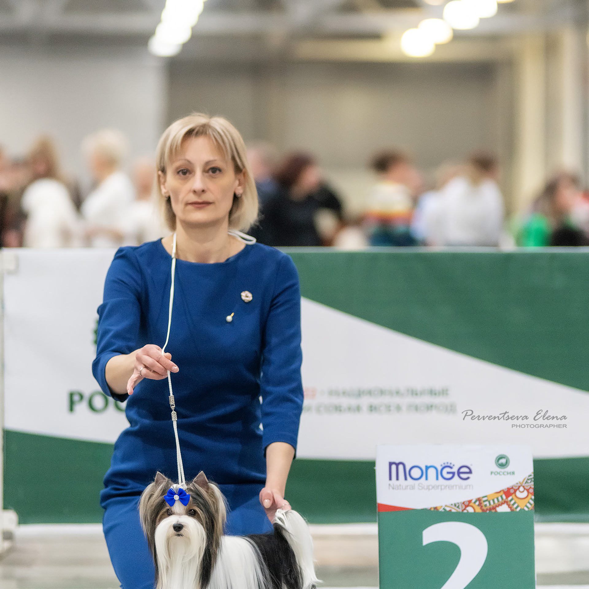 Репортажная съемка на выставке собак. Семьи, дети, сады, школы. Фотограф Первенцева Елена. Москва