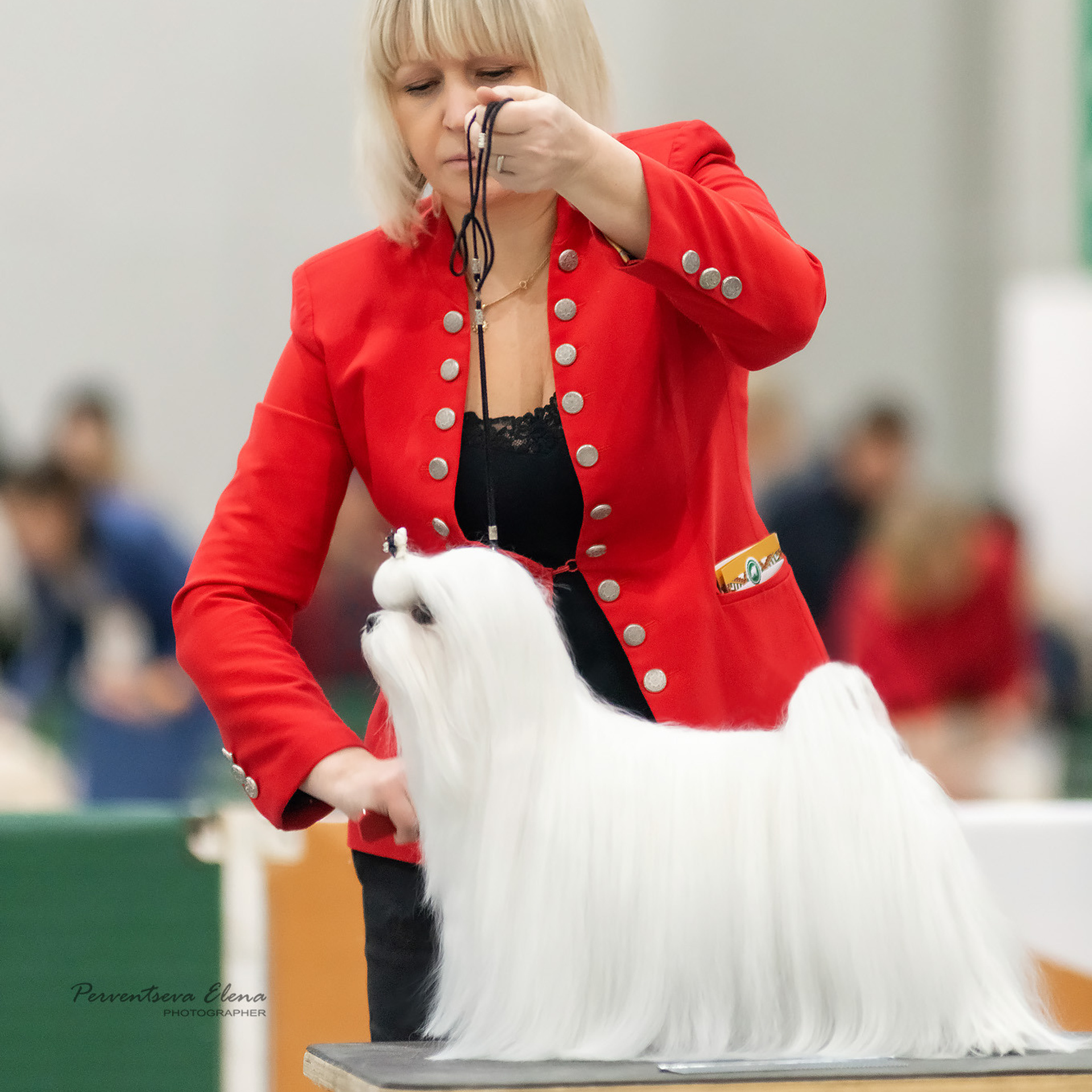 Репортажная съемка на выставке собак. Семьи, дети, сады, школы. Фотограф Первенцева Елена. Москва