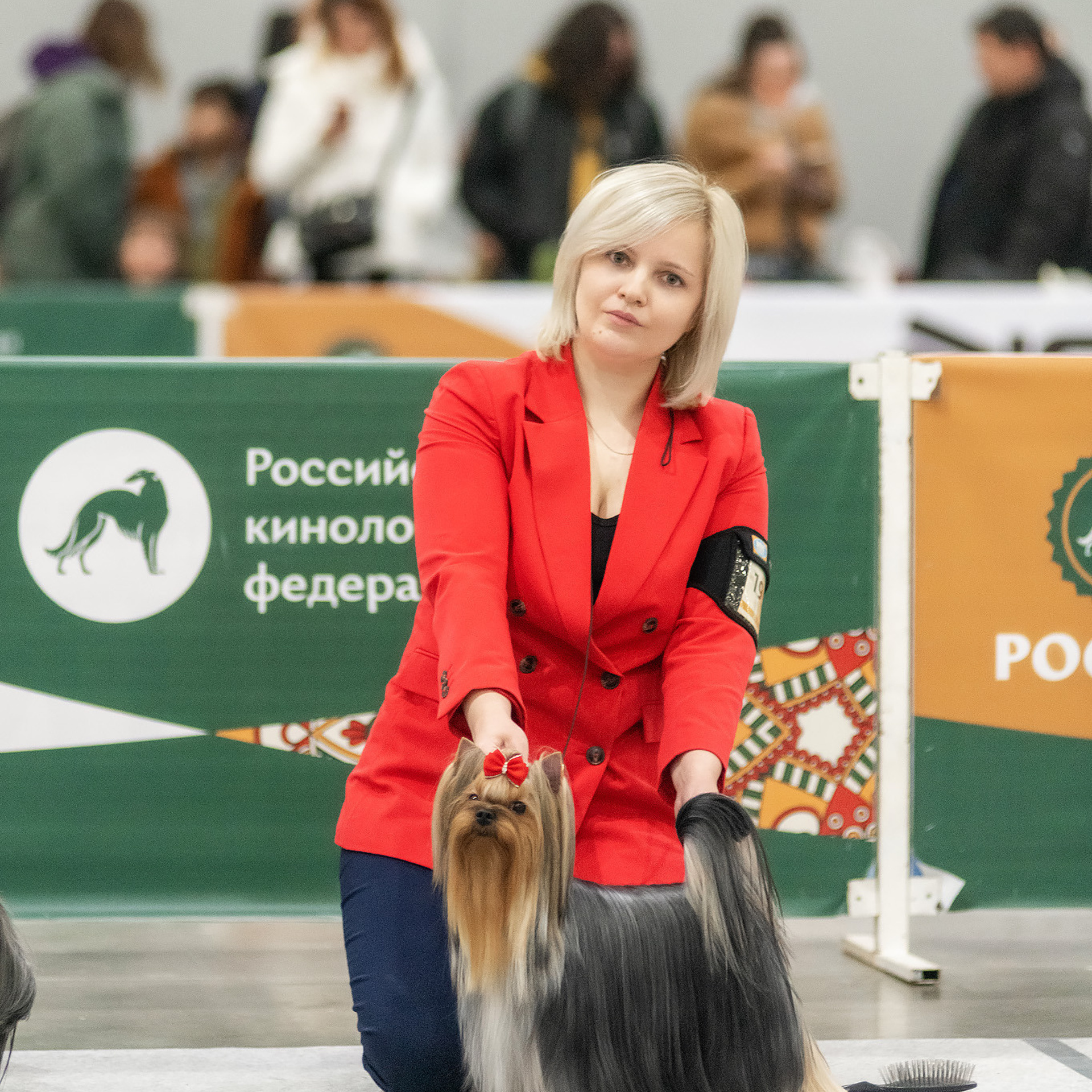 Отзывы о фотографе. Семьи, дети, сады, школы. Фотограф Первенцева Елена. Москва