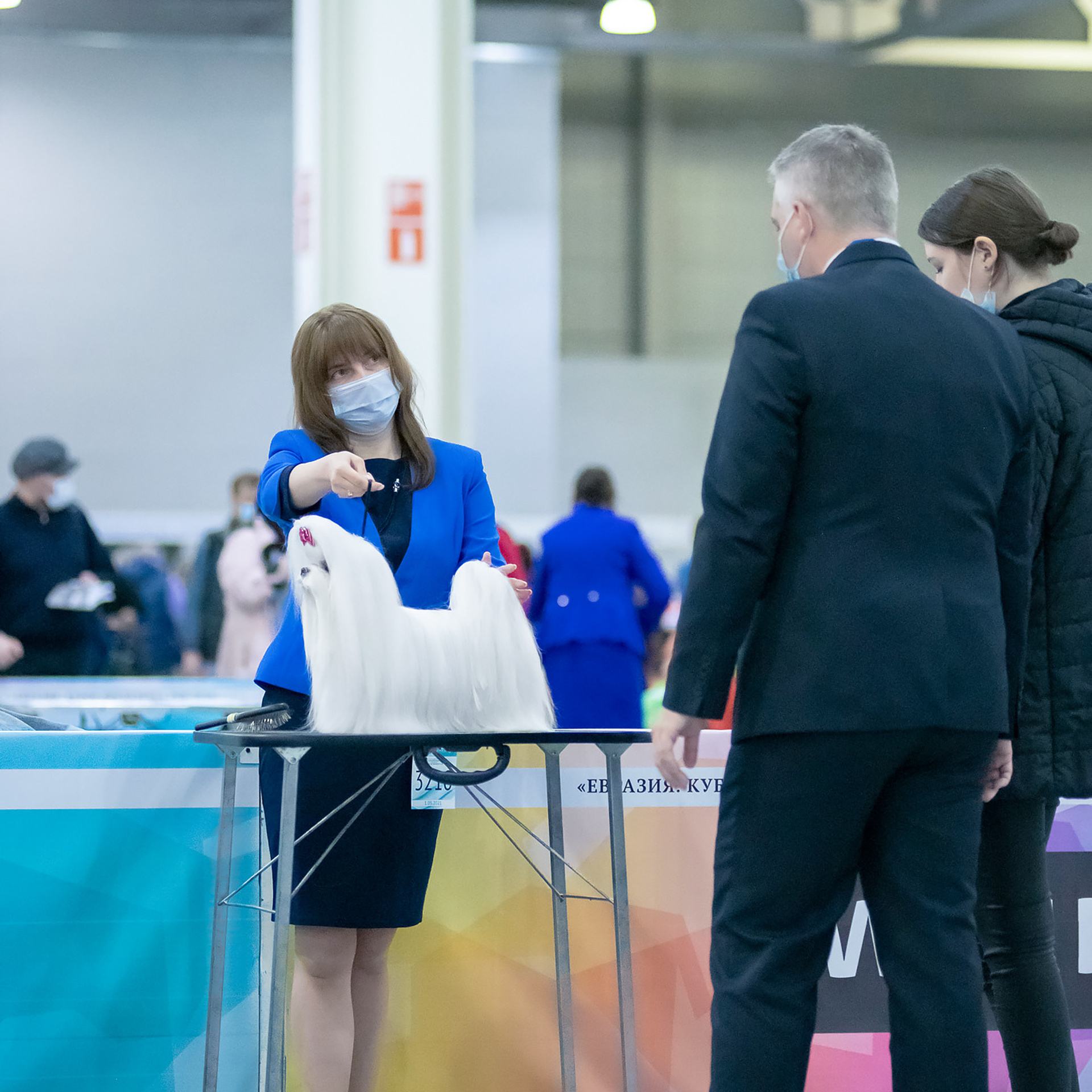 Репортажная съемка на выставке собак. Семьи, дети, сады, школы. Фотограф Первенцева Елена. Москва