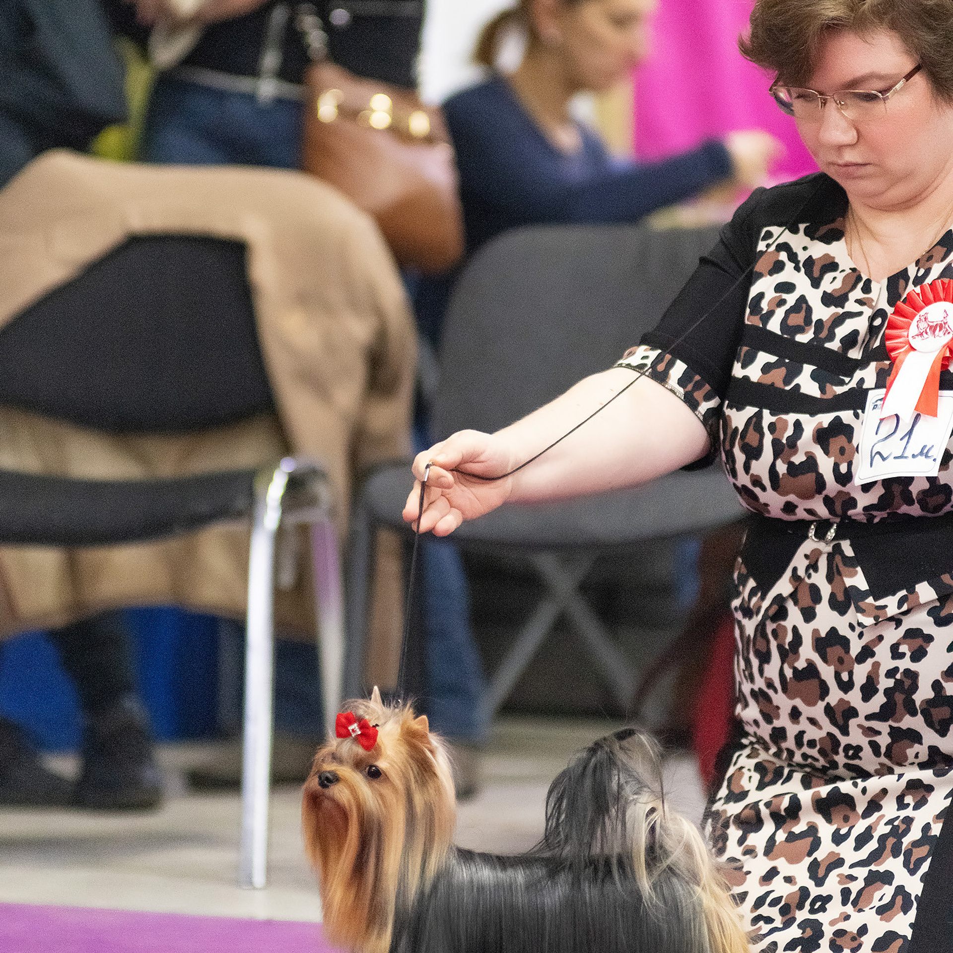 Репортажная съемка на выставке собак. Семьи, дети, сады, школы. Фотограф Первенцева Елена. Москва