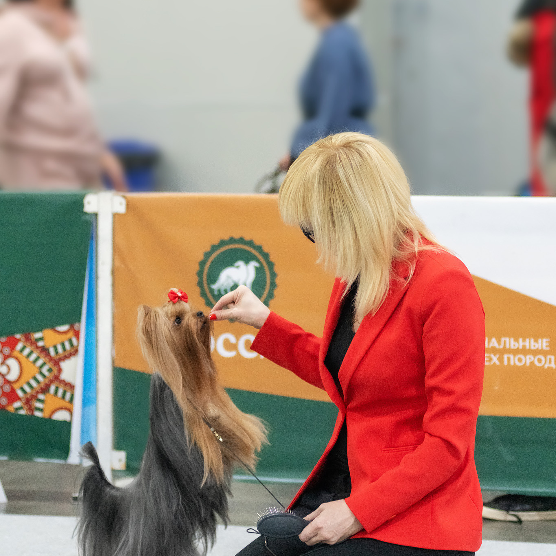 Репортажная съемка на выставке собак. Семьи, дети, сады, школы. Фотограф Первенцева Елена. Москва