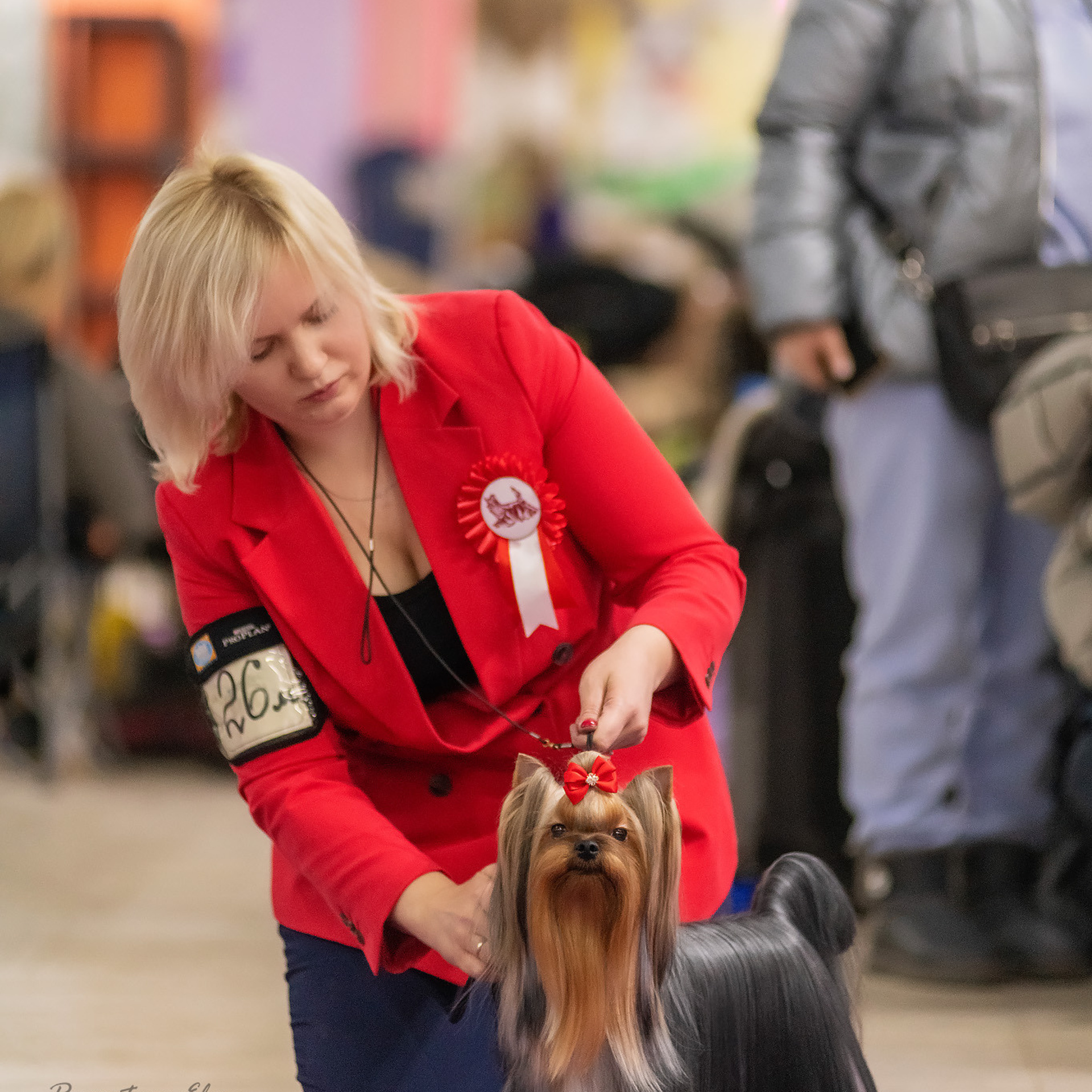 Репортажная съемка на выставке собак. Семьи, дети, сады, школы. Фотограф Первенцева Елена. Москва