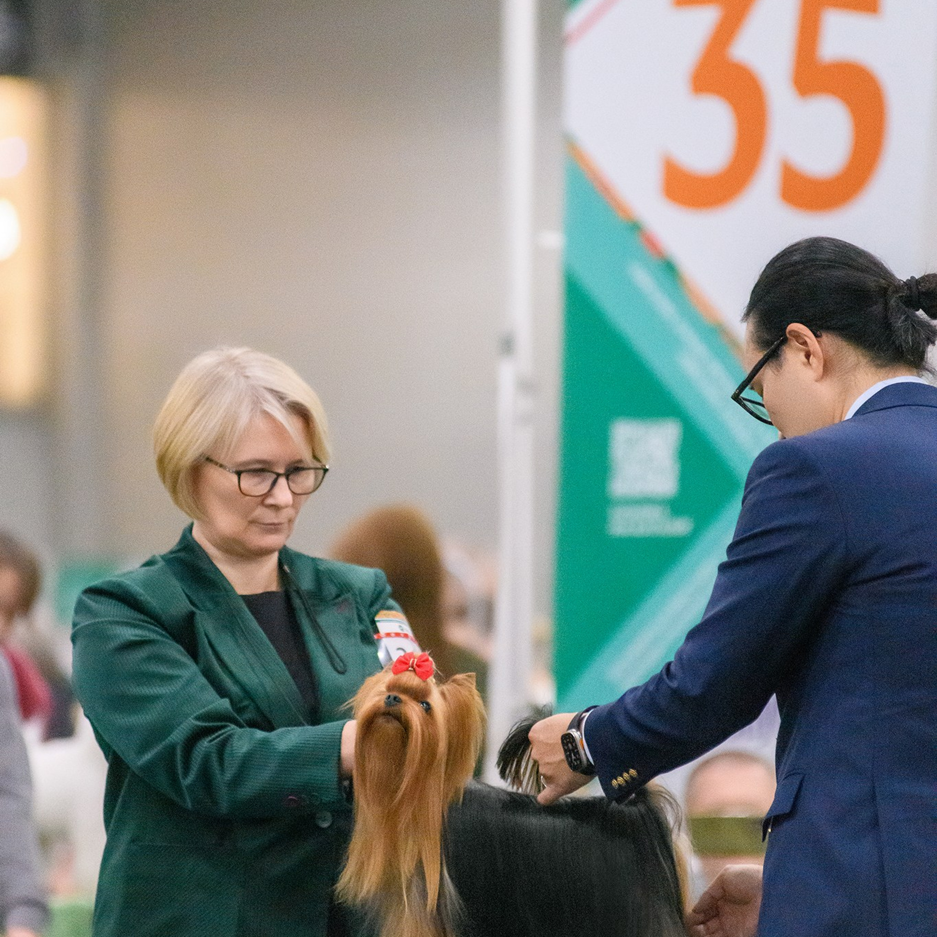 Отзывы о фотографе. Семьи, дети, сады, школы. Фотограф Первенцева Елена. Москва