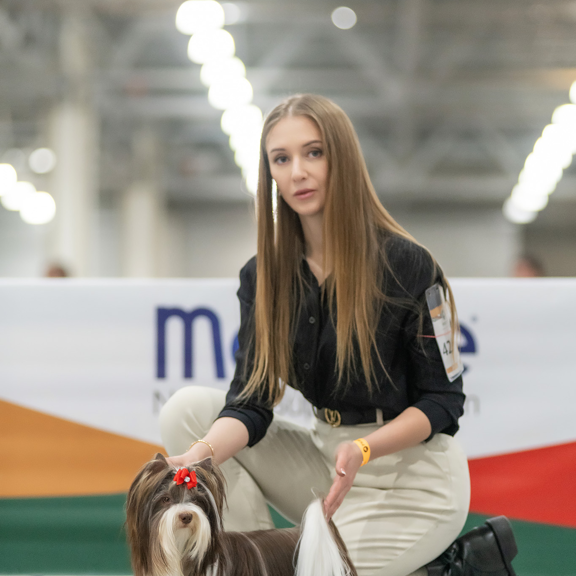 Репортажная съемка на выставке собак. Семьи, дети, сады, школы. Фотограф Первенцева Елена. Москва