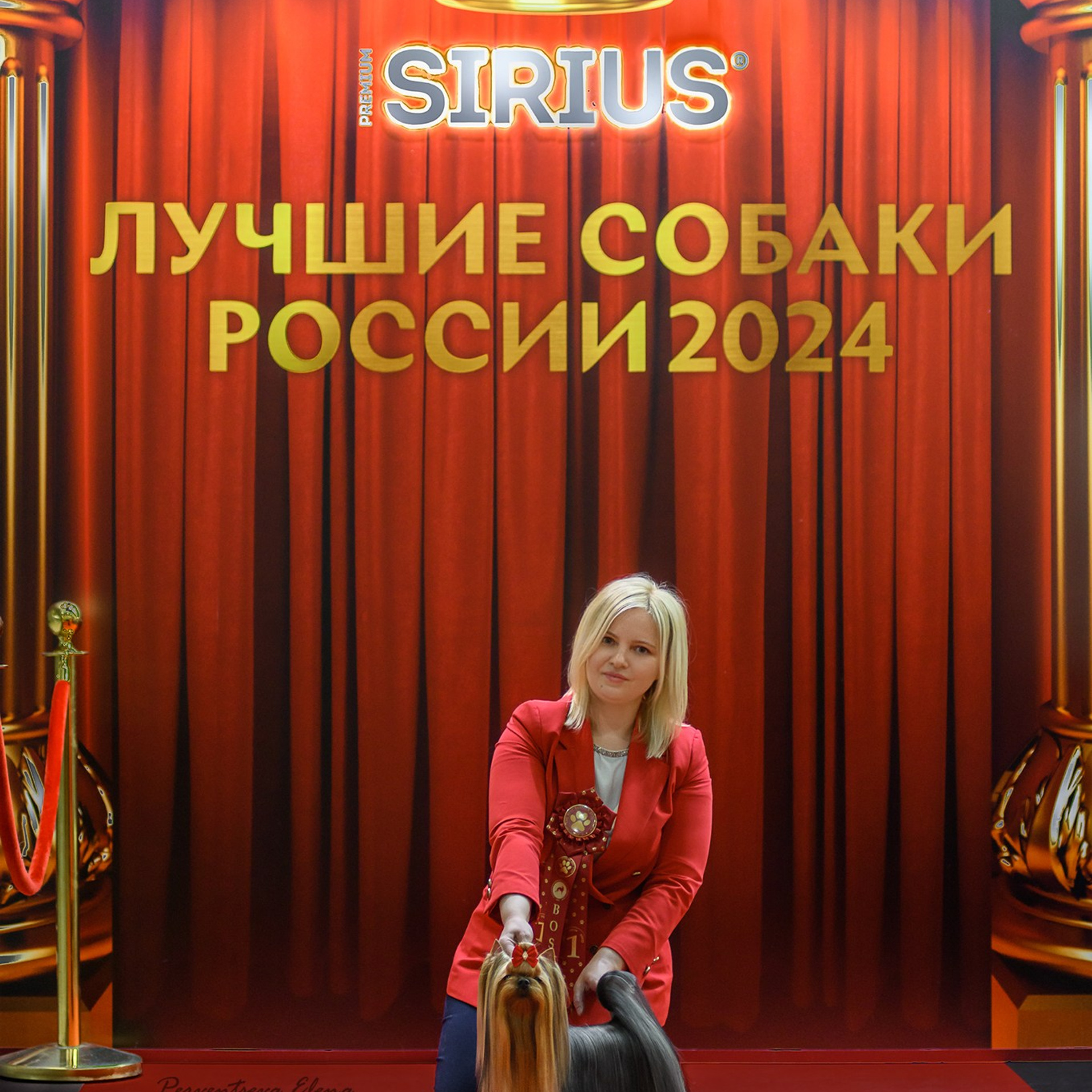 Отзывы о фотографе. Семьи, дети, сады, школы. Фотограф Первенцева Елена. Москва